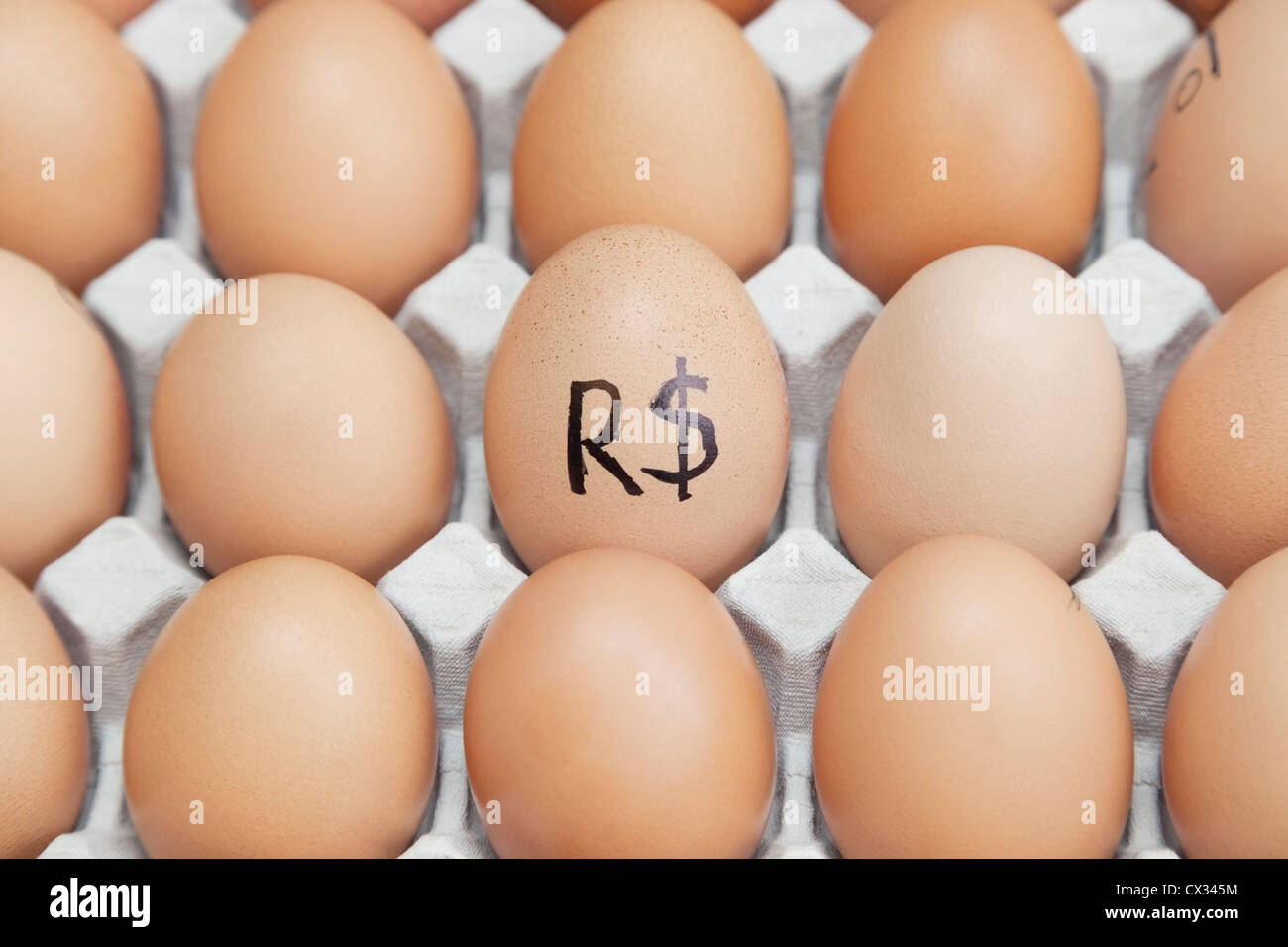 Brasilianischer Währung anmelden Ei umgeben von einfachen braunen Eiern im Karton Stockfoto