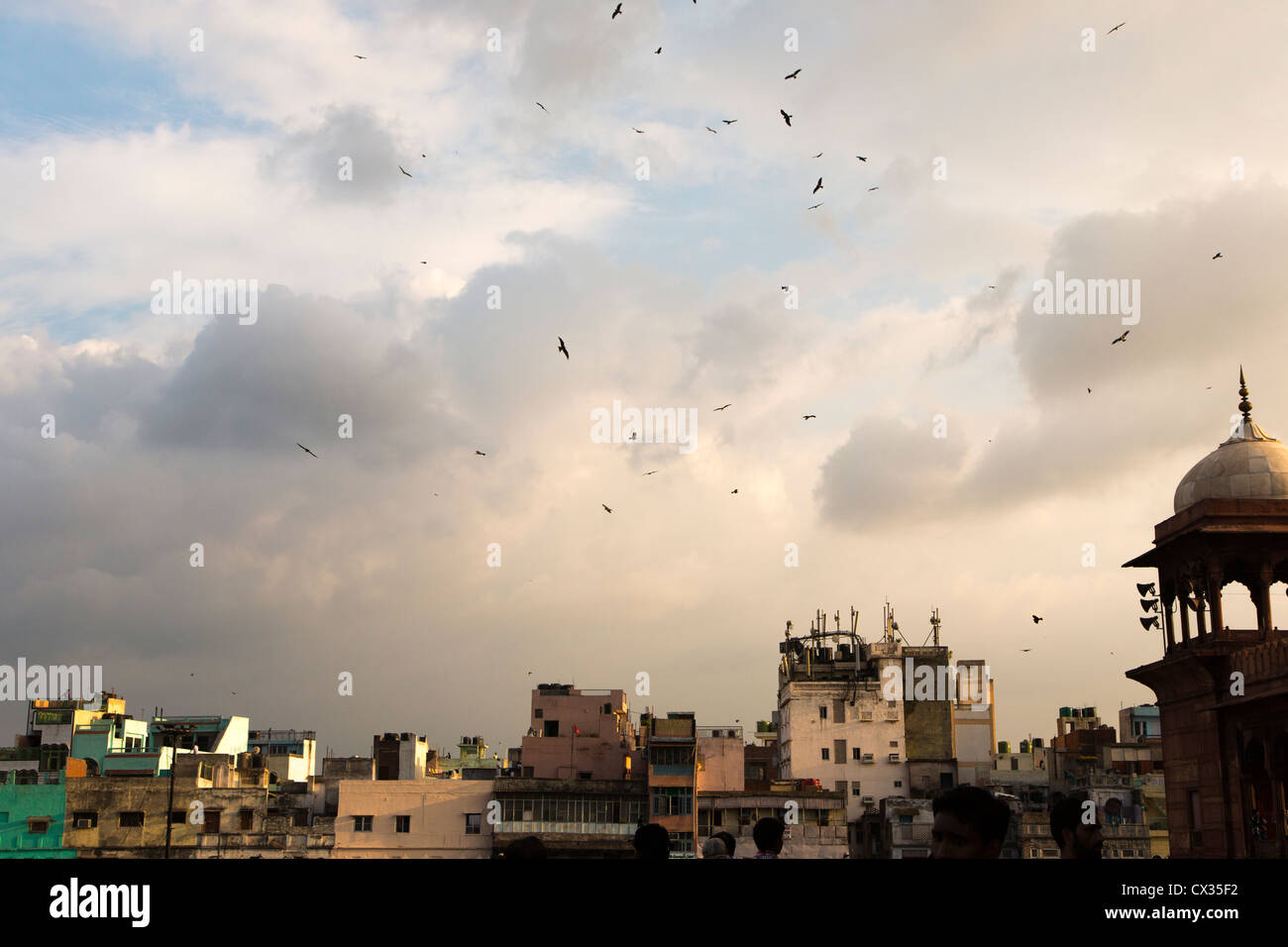 Blick auf die Altstadt von Jama Masjid (Moschee) in Neu-Dehli, Indien Stockfoto