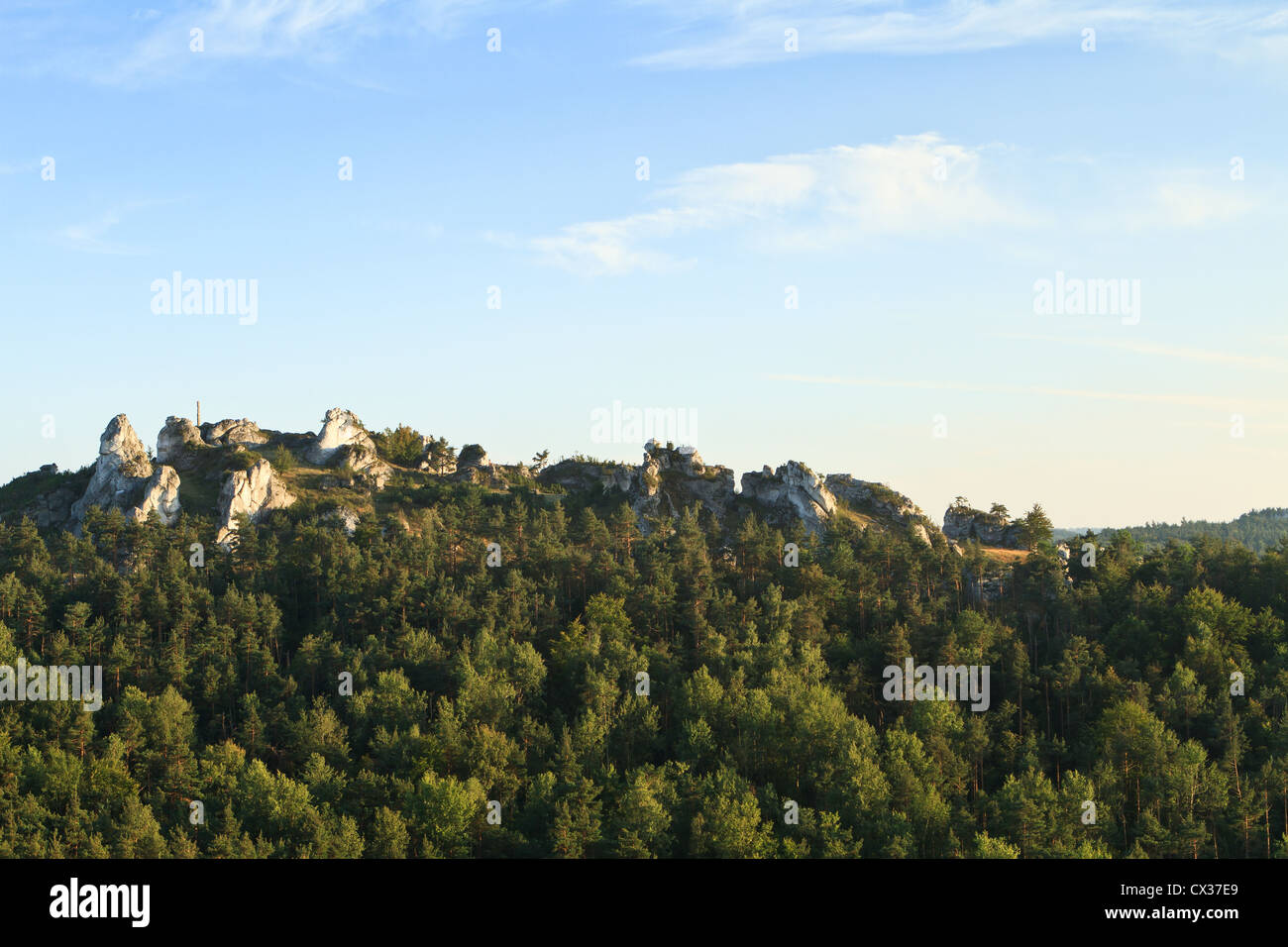 Kalkstein-Felsen an der Spitze des Hügels. Gora Zborow, Polesice, Jura Krakowsko - Czestochowska, Polen. Stockfoto