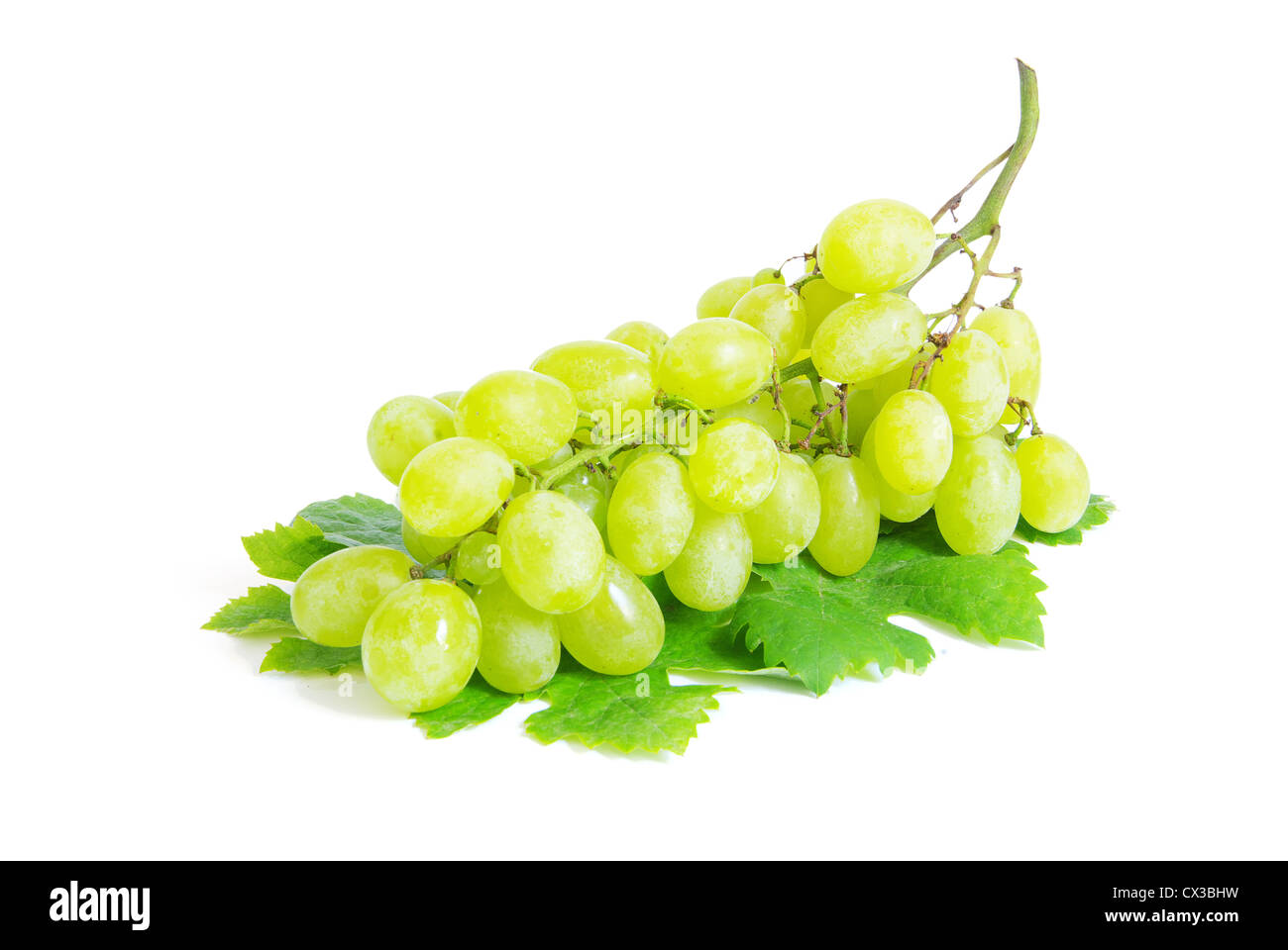 frische Trauben Früchte mit grünen Blättern, die isoliert auf weißem Hintergrund Stockfoto