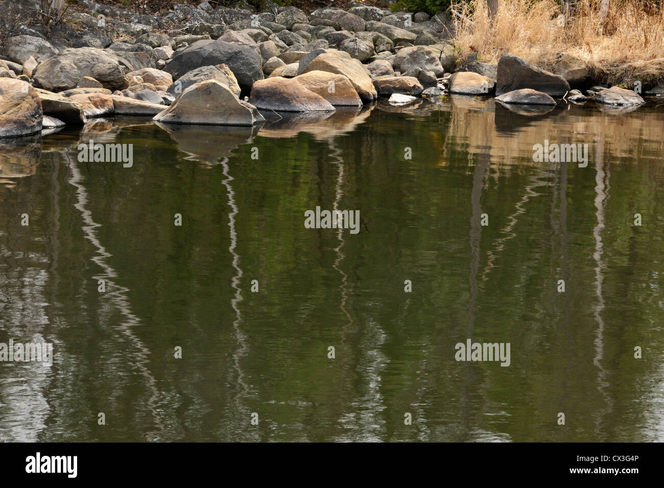 Baum-Reflexionen in größere Sudbury (Naughton), Simon Lake, Ontario, Kanada Stockfoto
