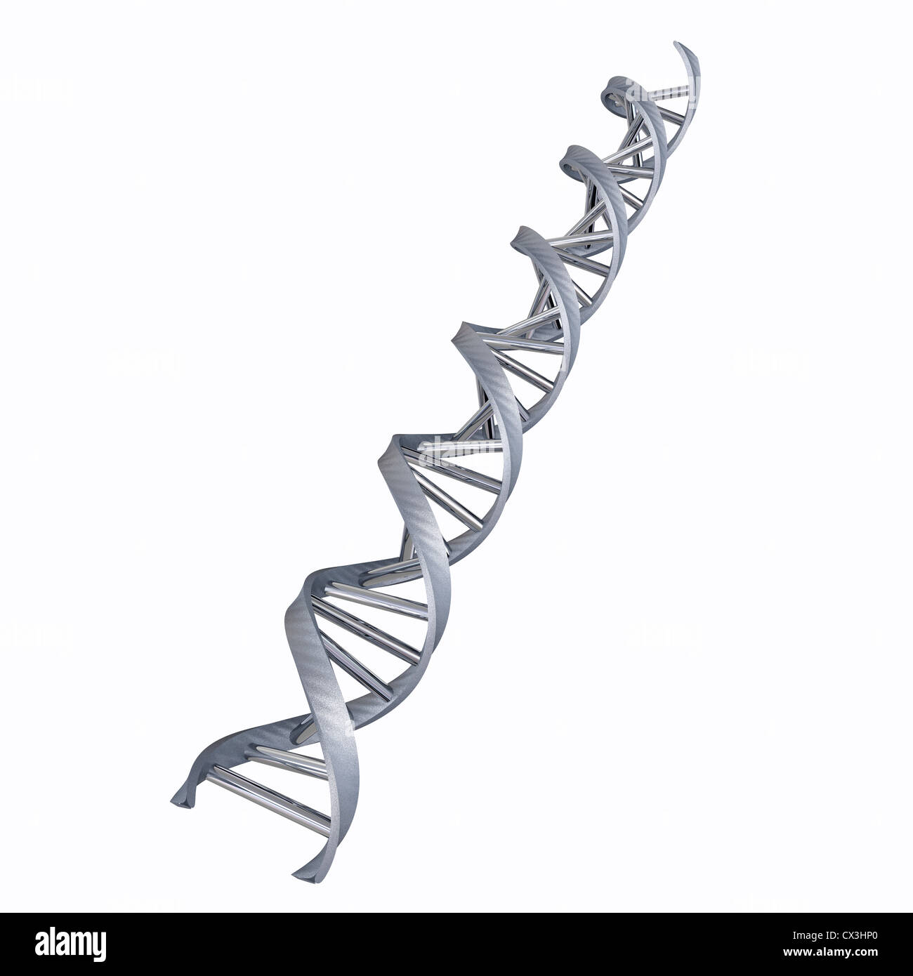 Alpha Doppelhelix DNS Auf Weissem Hintergrund - DNA-HELIX mit Nucleobase Stockfoto