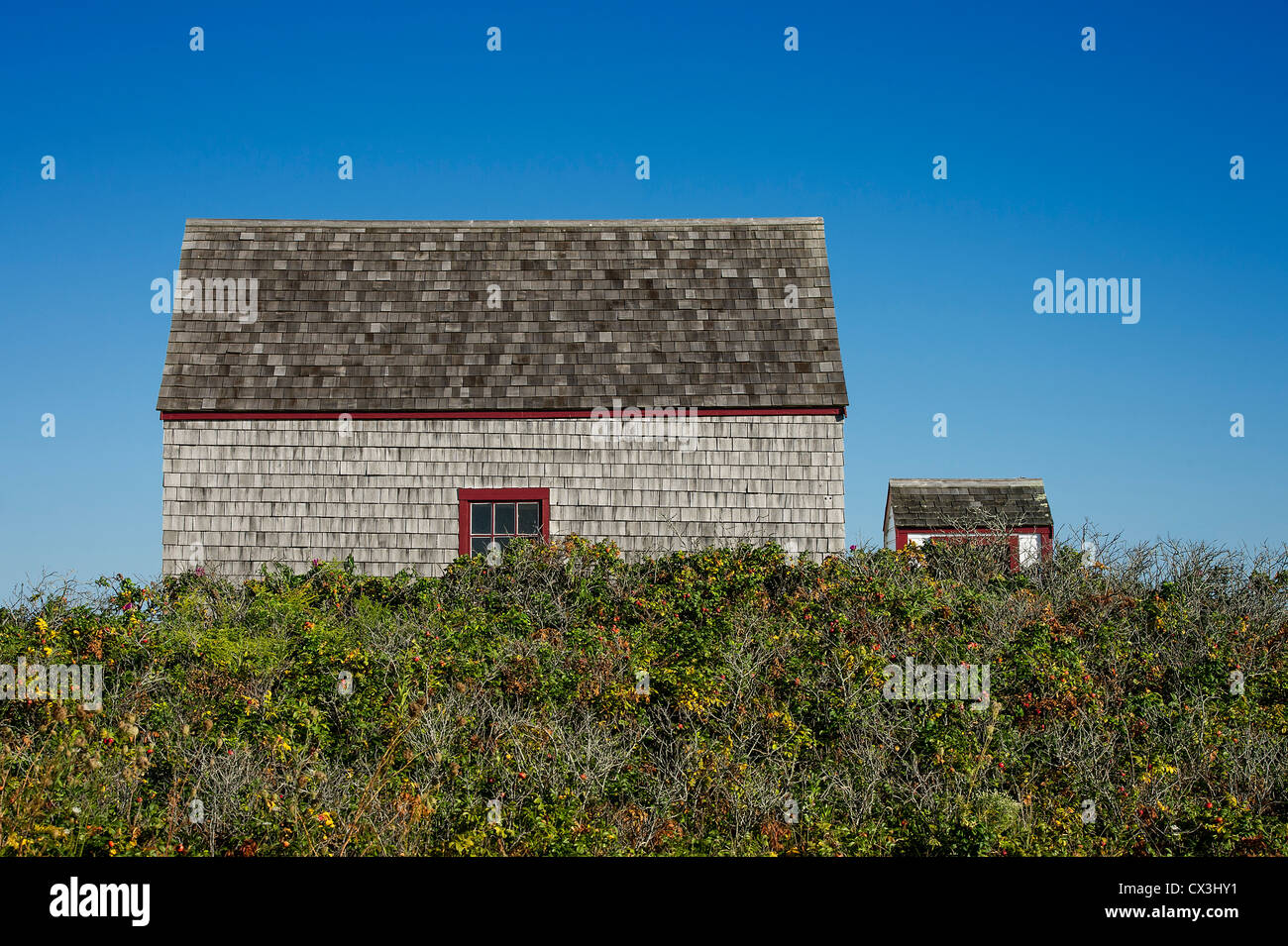 Küste Ferienhaus, Cape Cod, Massachusetts, USA Stockfoto