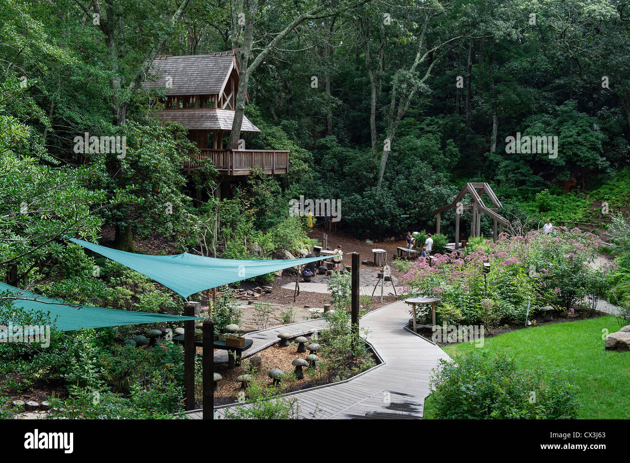 Baumhaus, hohlen versteckt, Museen und Gärten, Sandwich, Massachusetts, USA Stockfoto