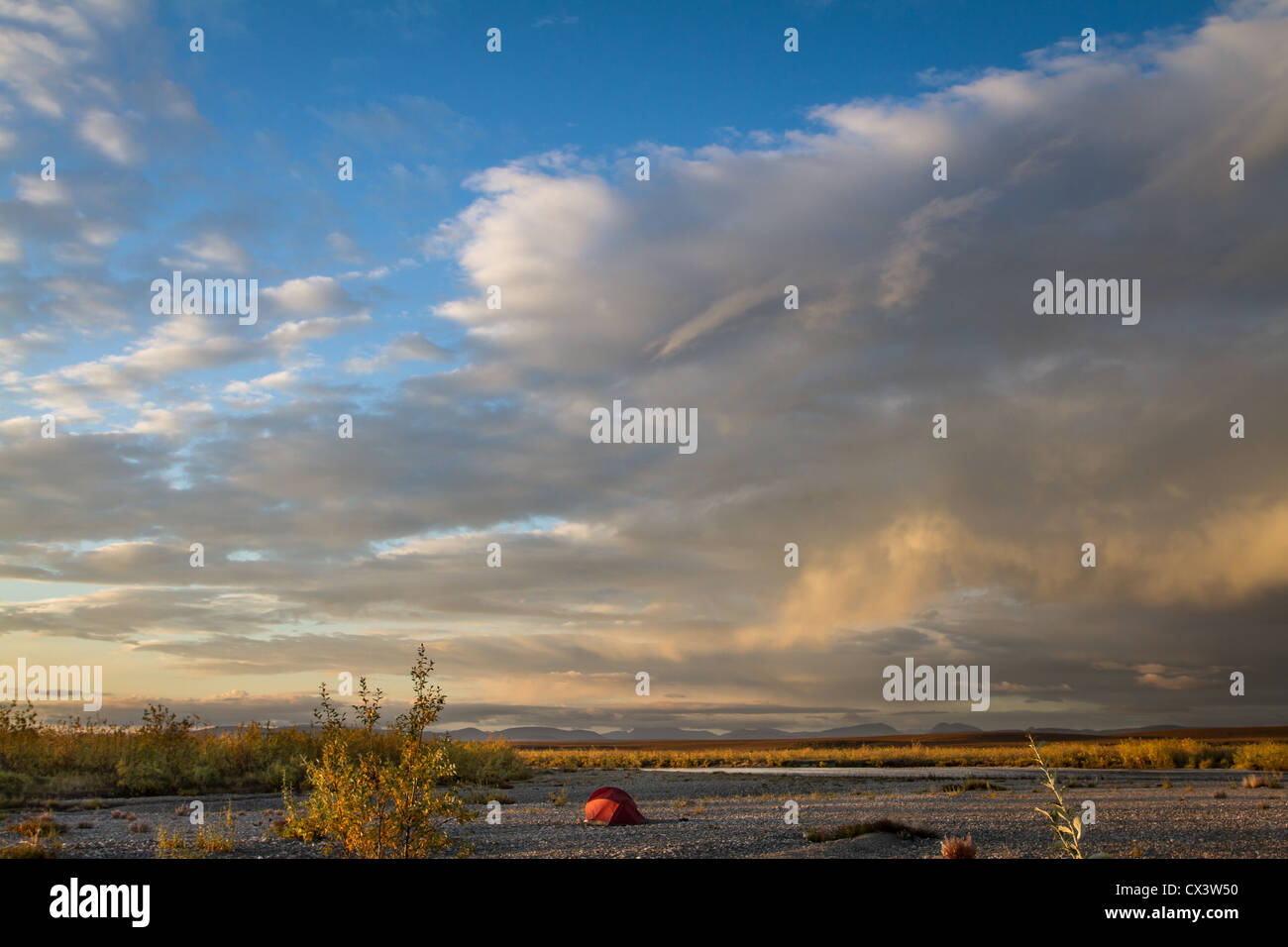 Abendsonne leuchtet auf einem Campingplatz am Fluss Aniuk in Noatak National Preserve, Alaska, USA. Stockfoto