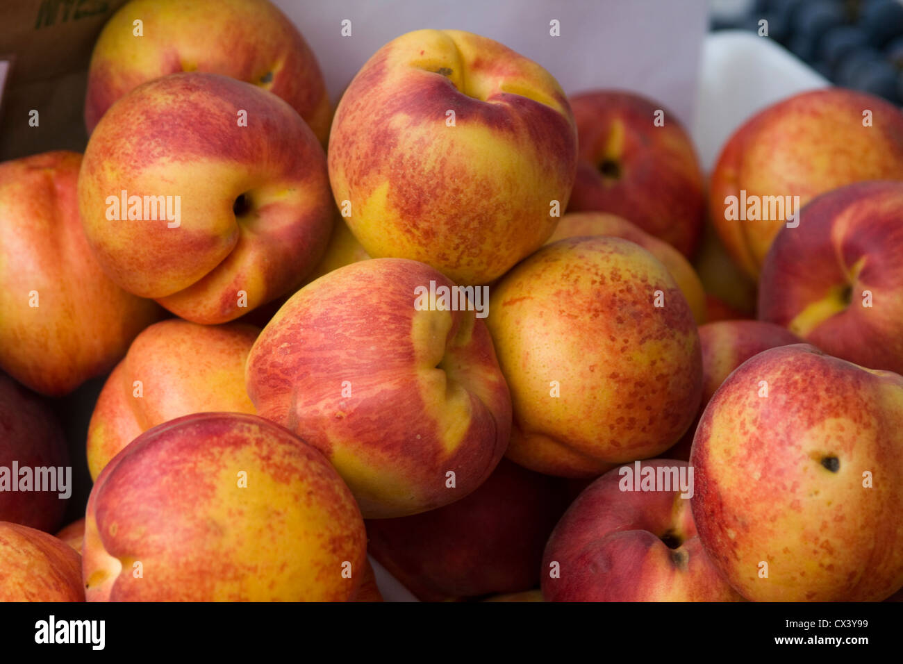Frisch gepflückt gelbe Pfirsiche verfügbar in Monterey Bauernmarkt. Stockfoto