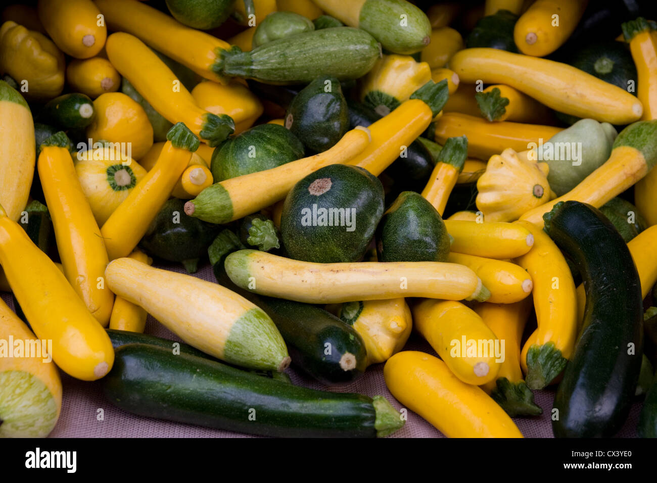 Frisch gepflückt squash verfügbar zum Verkauf auf dem Bauernmarkt in Monterey. Stockfoto