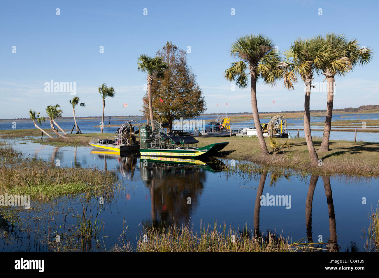 Everglades Florida Orlando USA Stockfoto