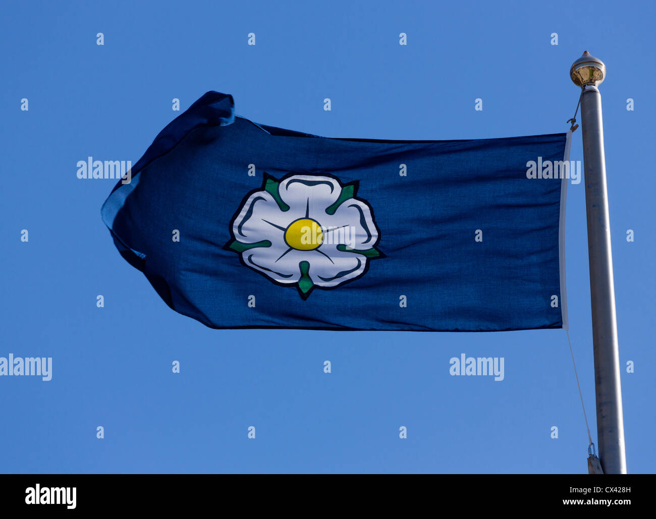 Der Yorkshire-Flagge, rose ein weiß auf einem dunkelblauen Hintergrund. Stockfoto