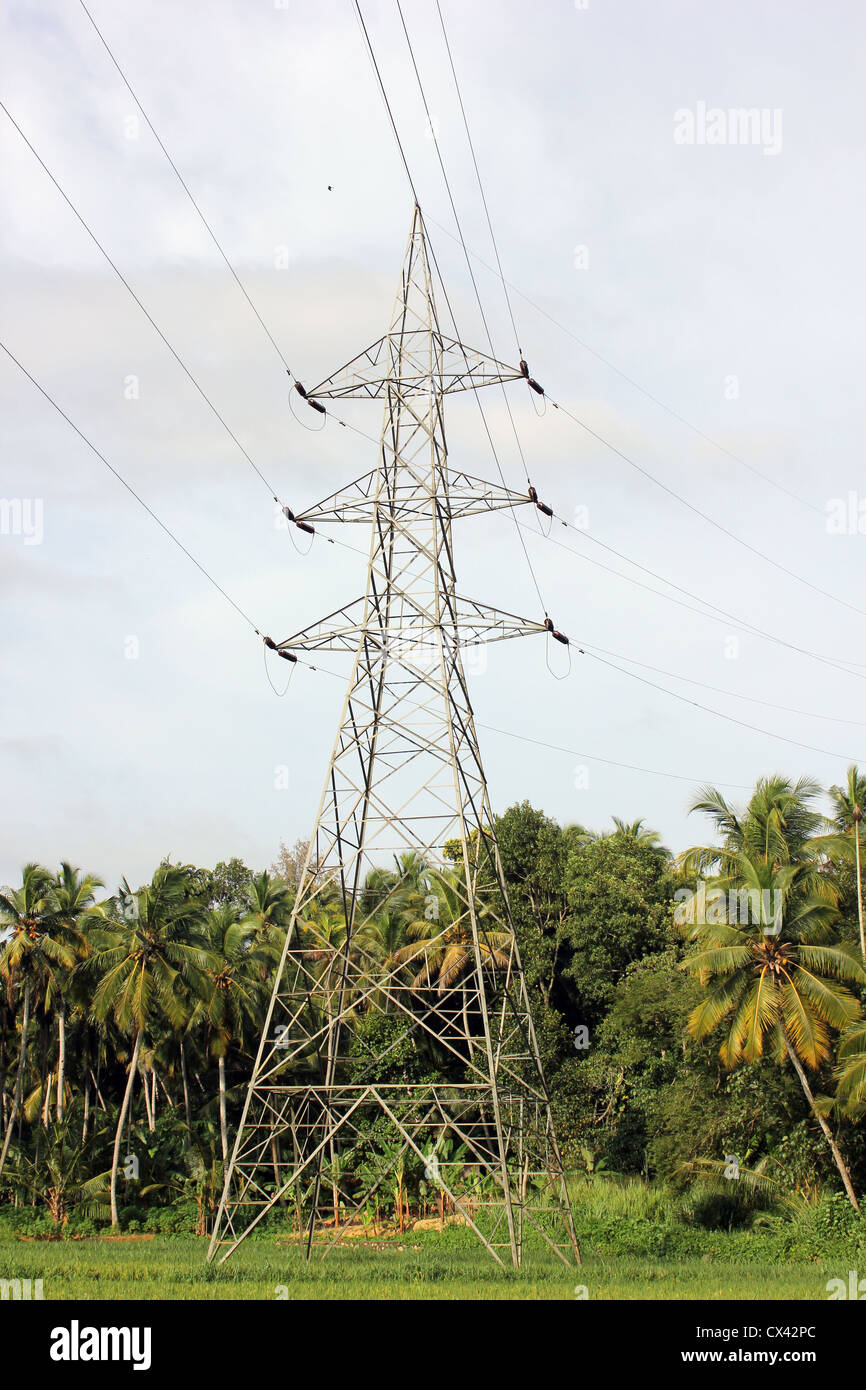 Elektrische Pylon in der Mitte von einem Reisfeld paddy Stockfoto