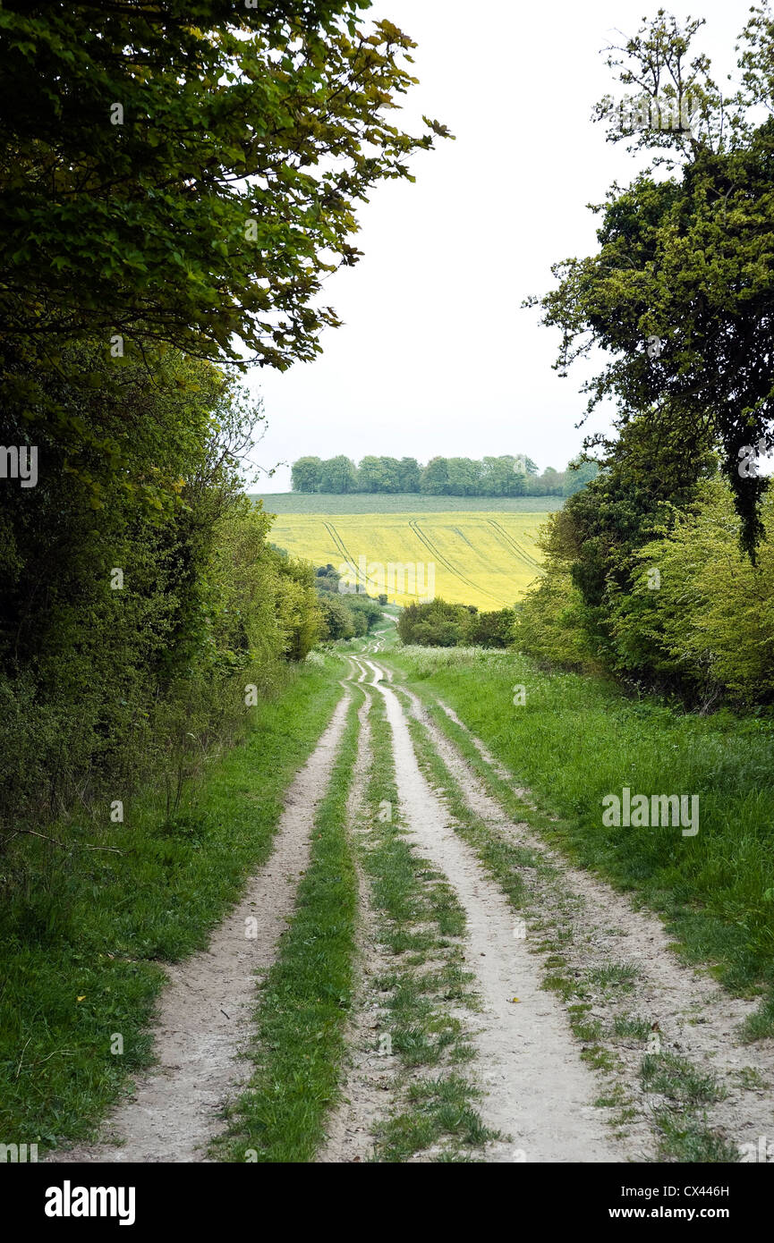 Die Ridgeway alten Strecke in der Nähe von Uffington Castle, Oxfordshire, Vereinigtes Königreich Stockfoto