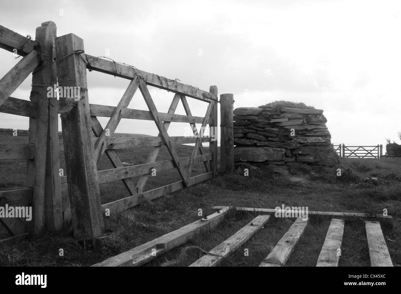 5 bar Tore in Monochrom Stockfoto