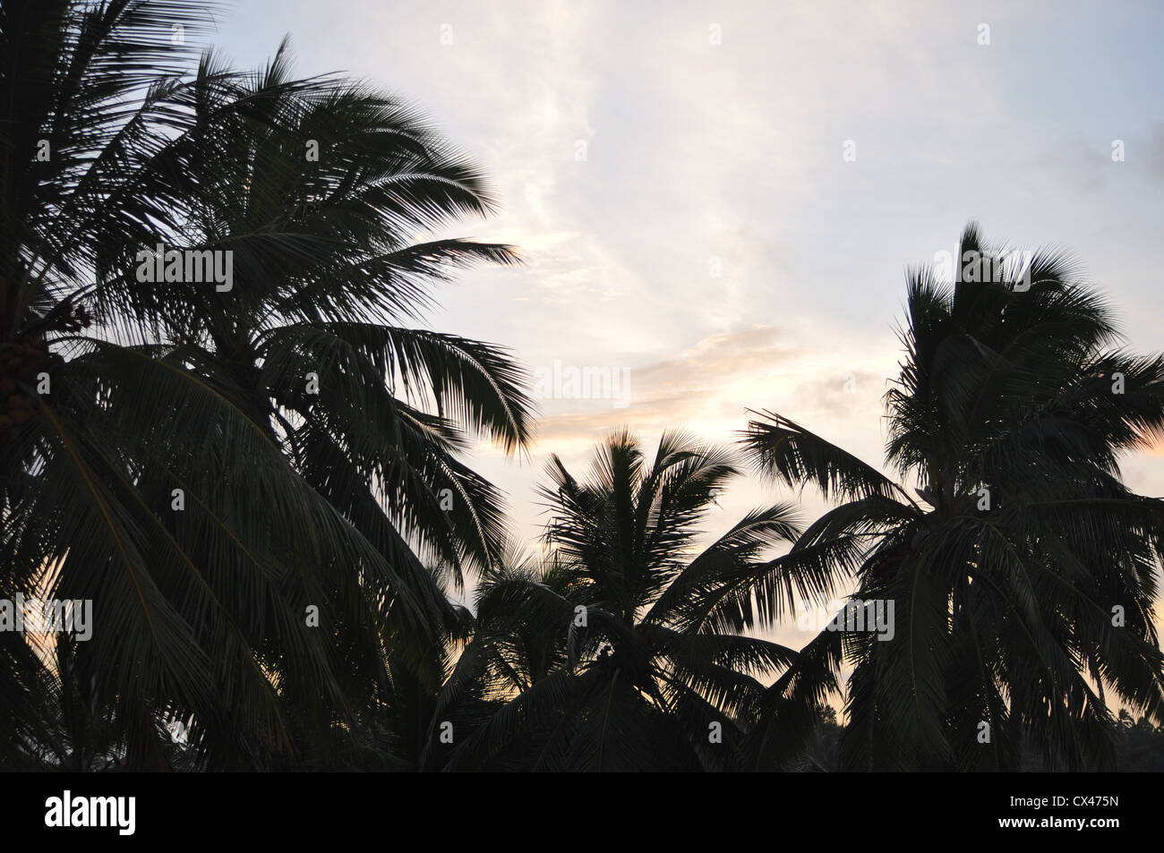 Keralas gnädig skyline Stockfoto