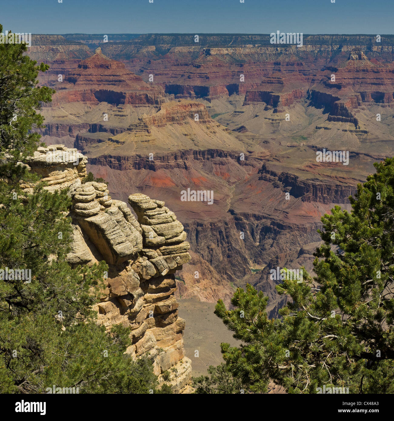 Ein Blick auf den Grand Canyon vom Südrand in Arizona, USA Stockfoto