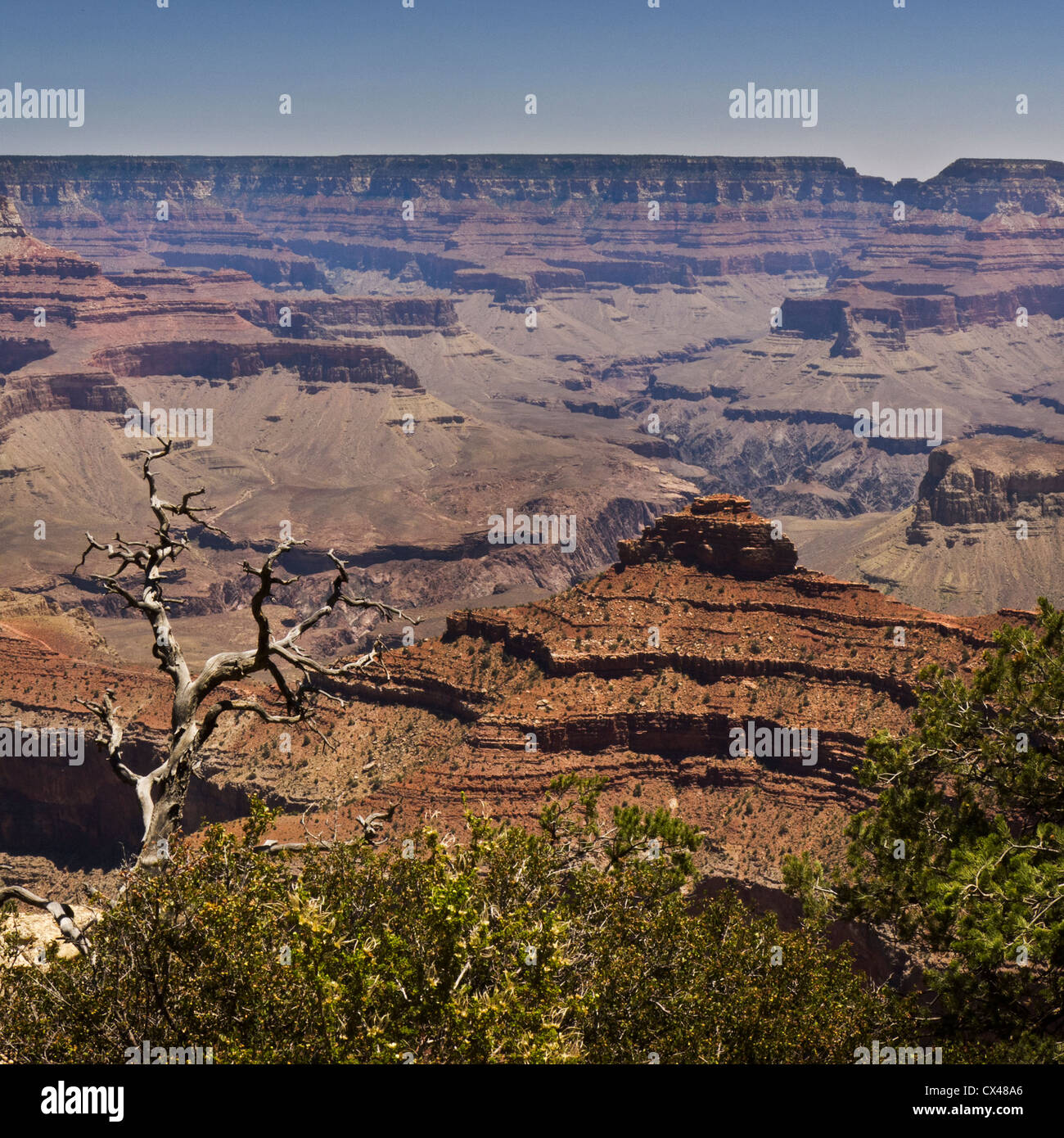 Ein Blick auf die spektakuläre Landschaft des Grand Canyon gesehen vom Südrand in Arizona, USA. Stockfoto