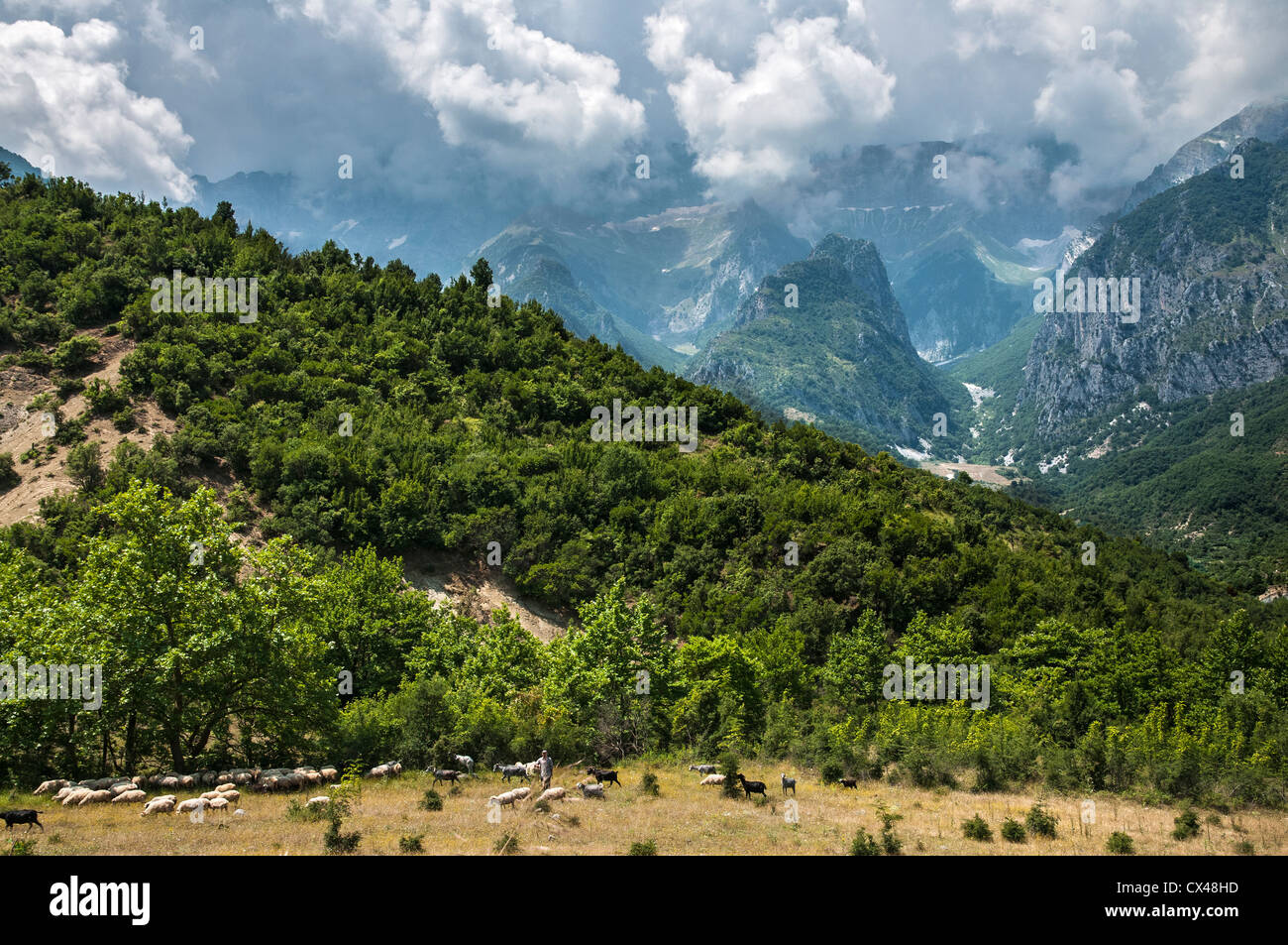 Das Vjoses-Tal mit den Nemercke-Bergen im Hintergrund, in der Nähe von Permet im Süden Albaniens Stockfoto