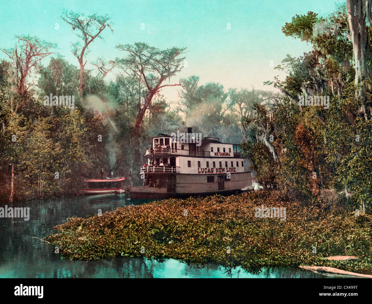 Auf dem Ocklawaha, Florida Stockfoto