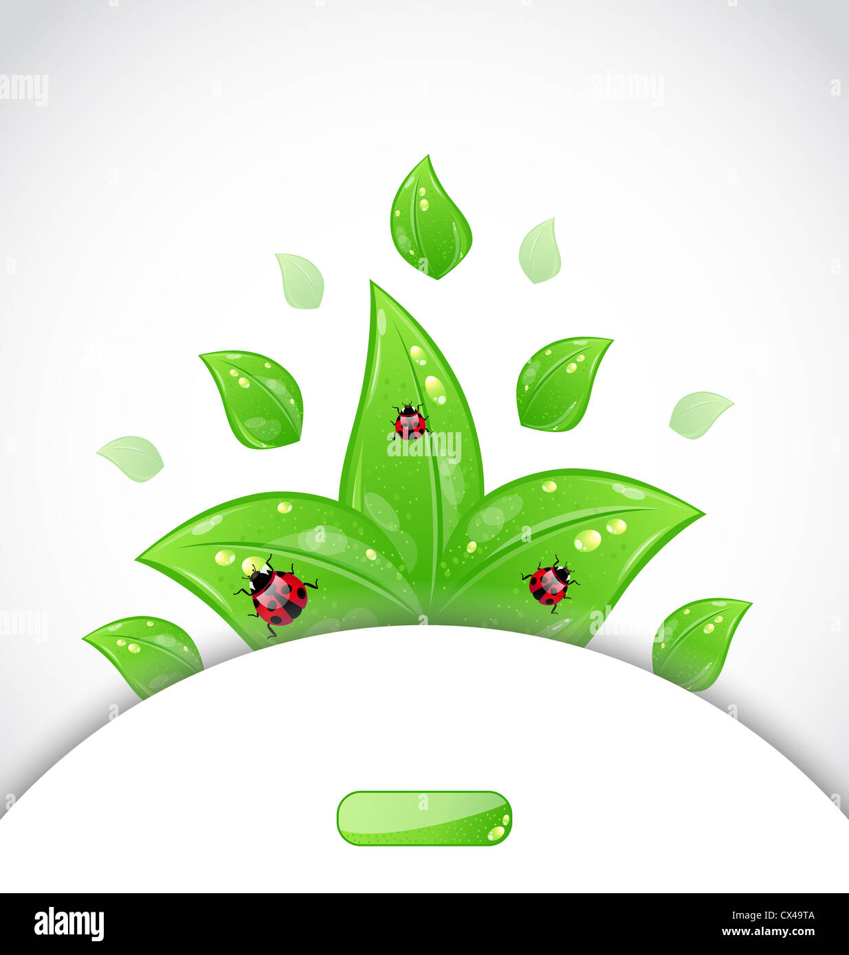 Abbildung Business Broschüre Vorlage mit grünen Blättern und Marienkäfer - Vektor Stockfoto