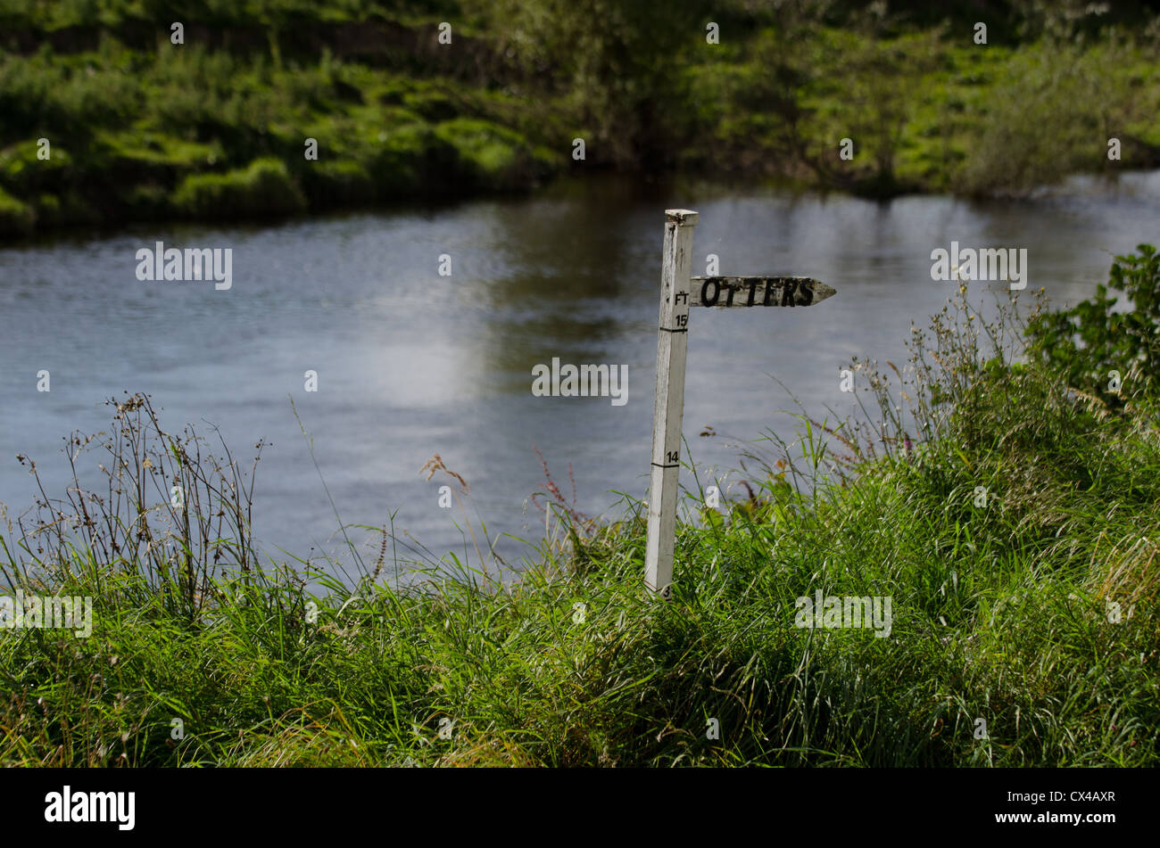 Ein Zeichen für "Otter" am Ufer Flusses des Wye, in Witney on Wye. Stockfoto