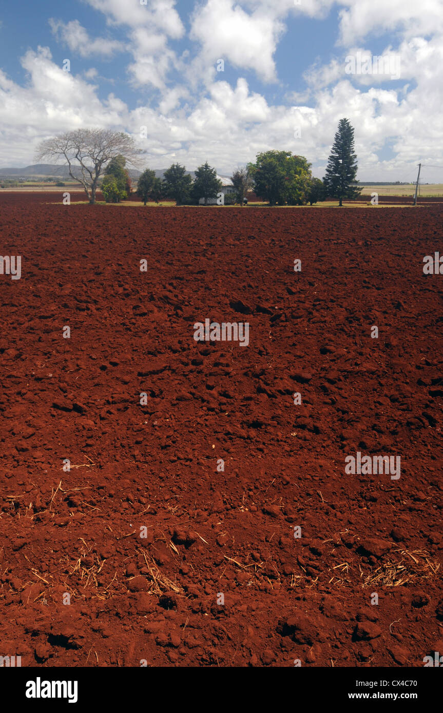 Reiche rote Erde von einem Bauernhof auf der Atherton Tableland, in der Nähe von Kairi, Queensland, Australien. Keine PR Stockfoto