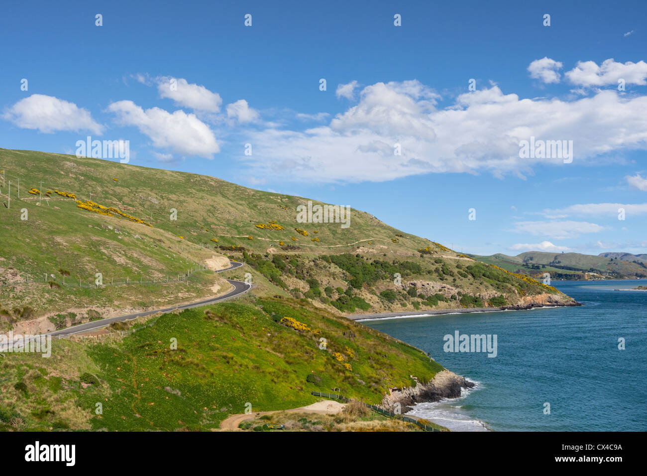 Küste der Otago Peninsula, Neuseeland, Stockfoto