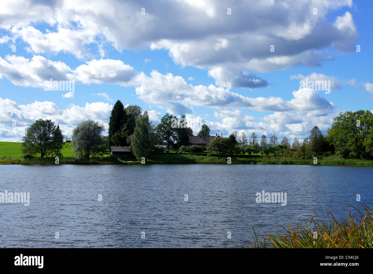 See und Bäumen auf dem Hintergrund des Himmels Stockfoto