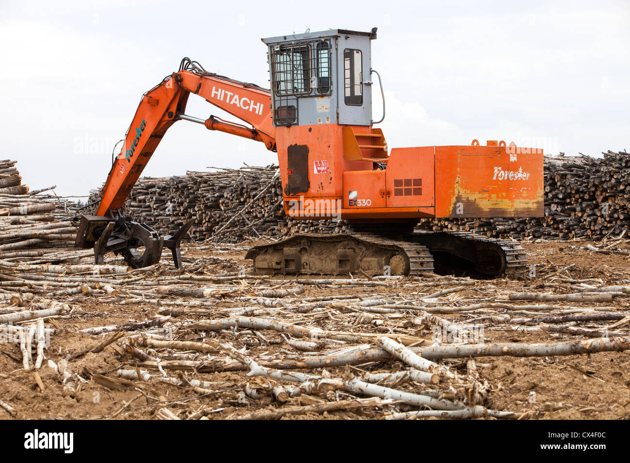 Borealen Waldbäume klar gefällt, um Platz zu machen für ein neues Tar mine nördlich von Fort McMurray, Alberta, Kanada Sands. Stockfoto