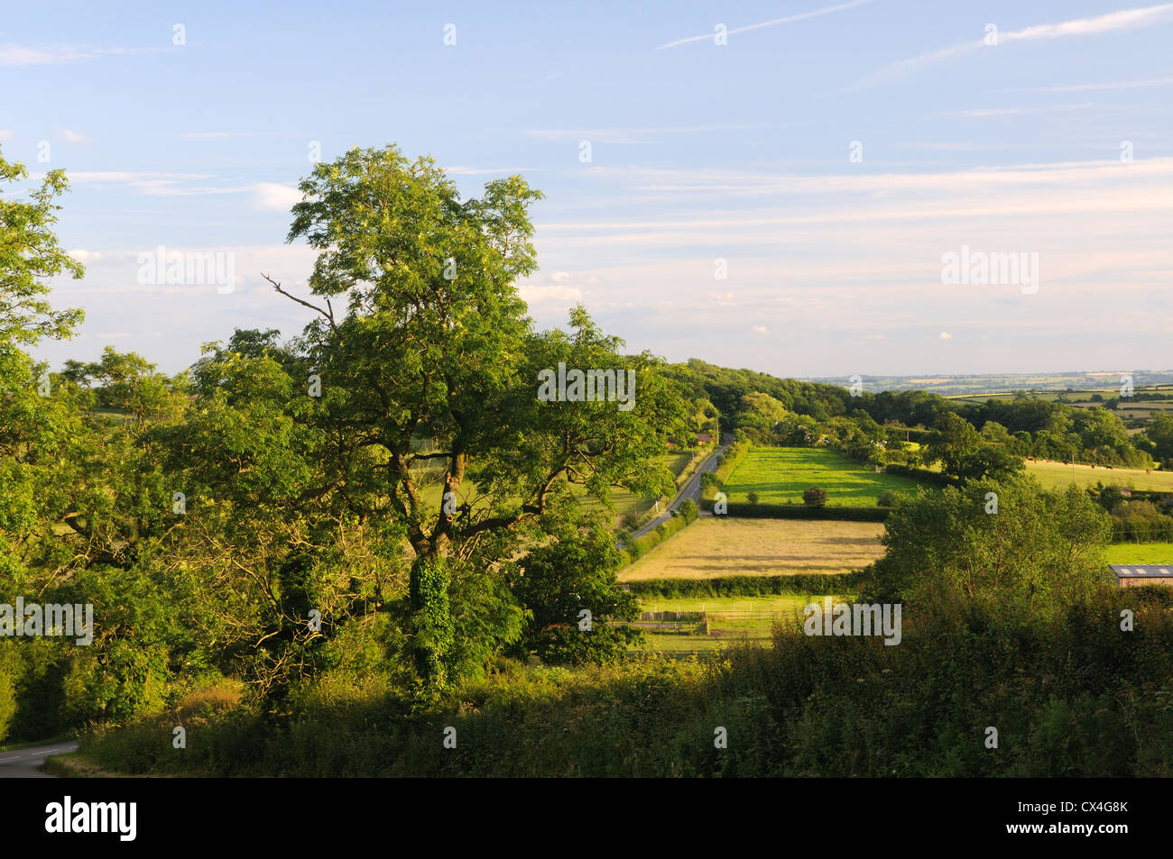 Die Leicestershire Landschaft in der Nähe von East Norton, Leicestershire, England Stockfoto