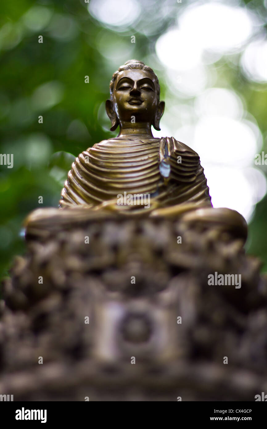 Buddha-Kopf im Wat Tempel Chiangmai Stockfoto