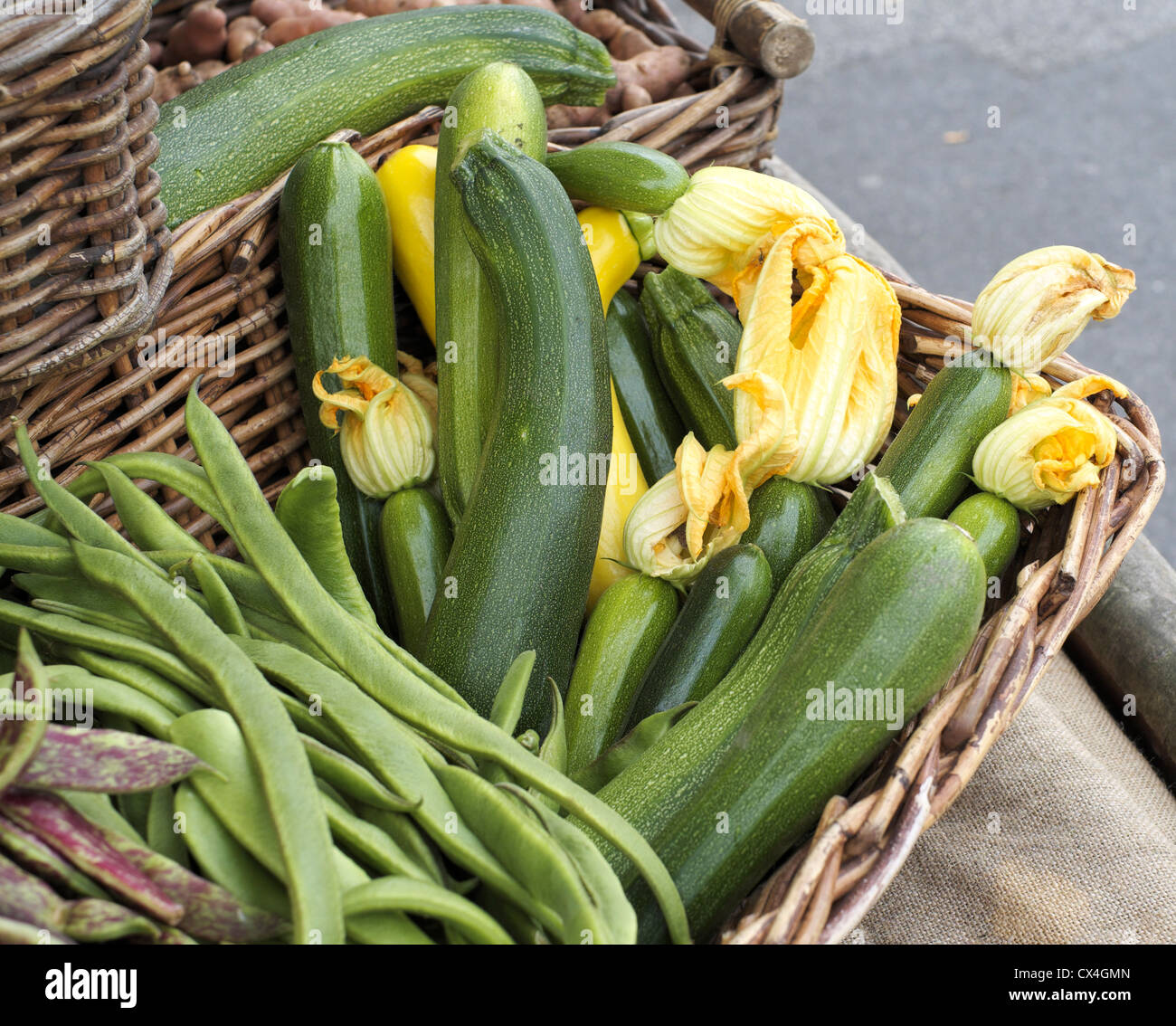 Zucchini mit Blumen angebracht Stockfoto