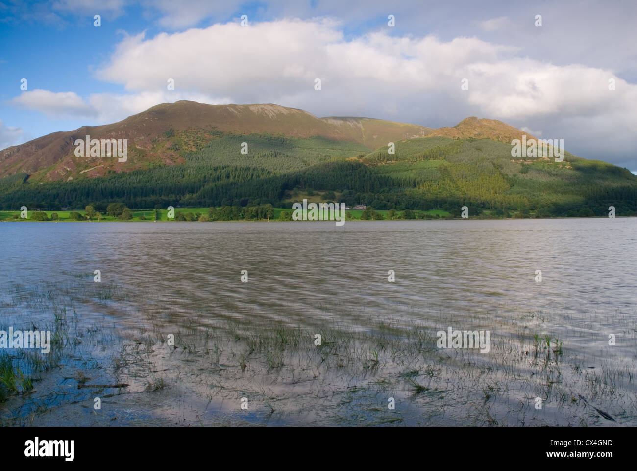 Bassenthwaite Lake, englischen Lake District, England, Vereinigtes Königreich Stockfoto