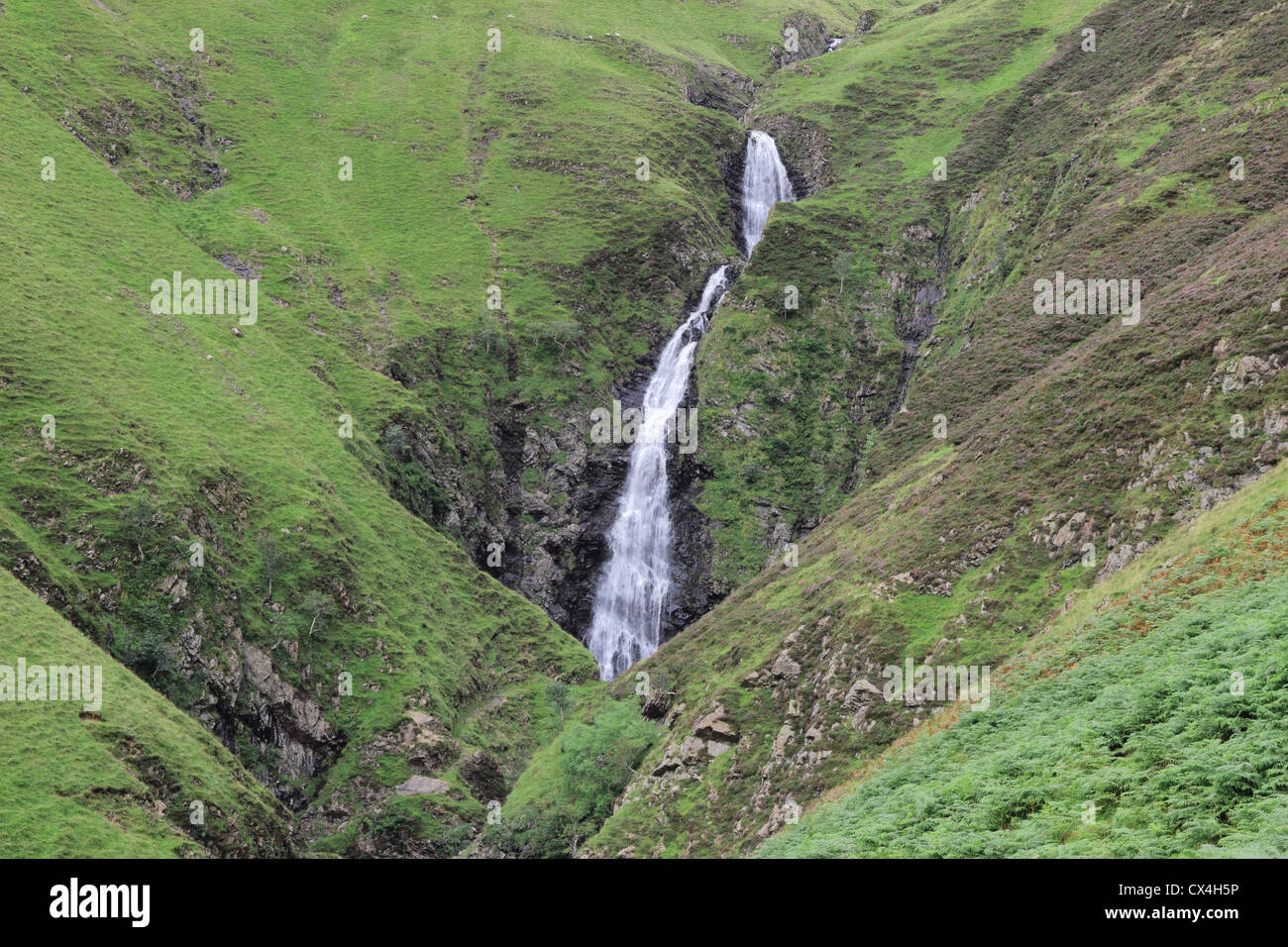 Grau, Stutenmilch Wasserfall, Moffat Dale, Dumfries and Galloway, Schottland, Großbritannien Stockfoto