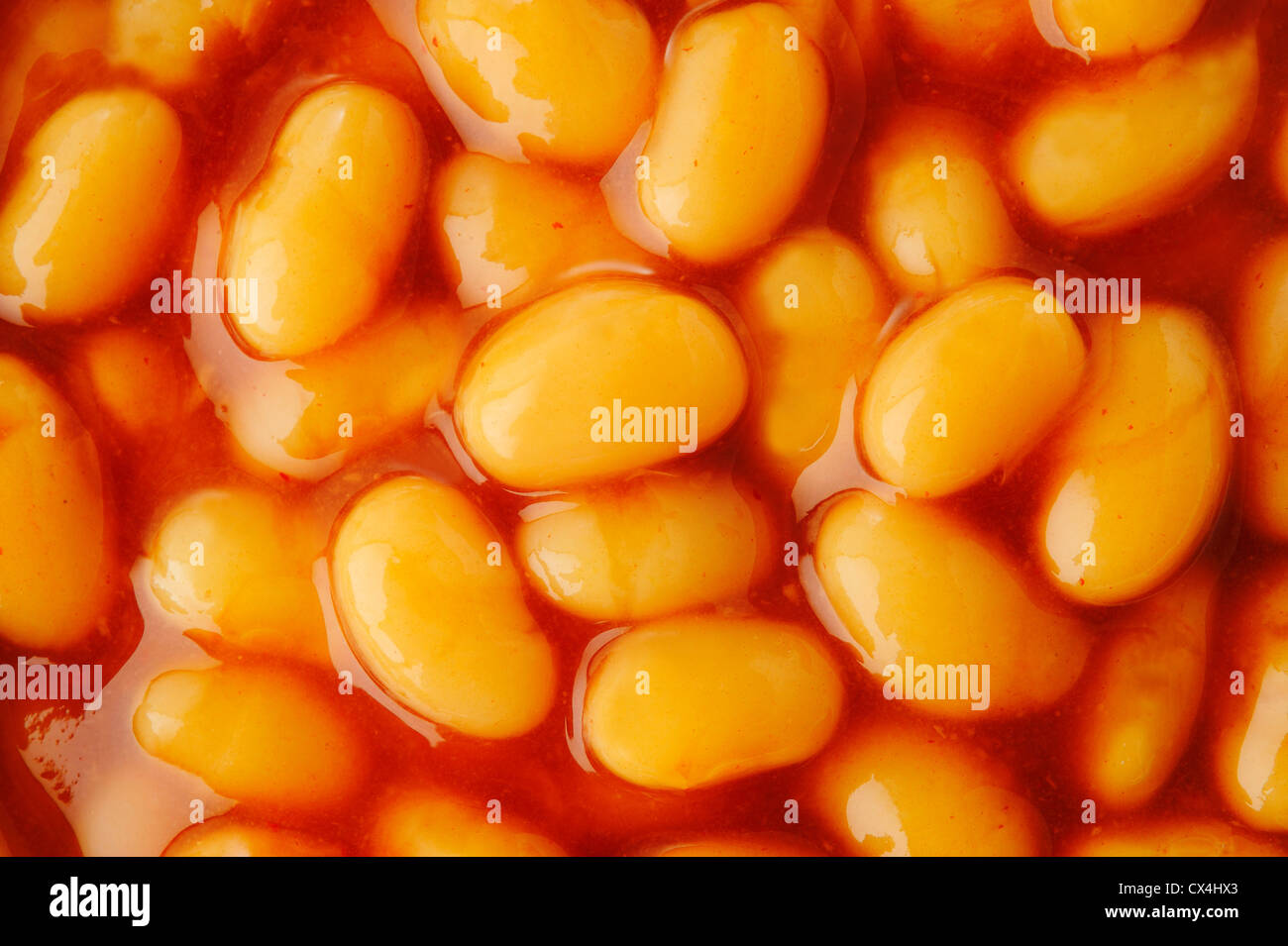 Gebackene Bohnen in Tomatensauce Stockfoto