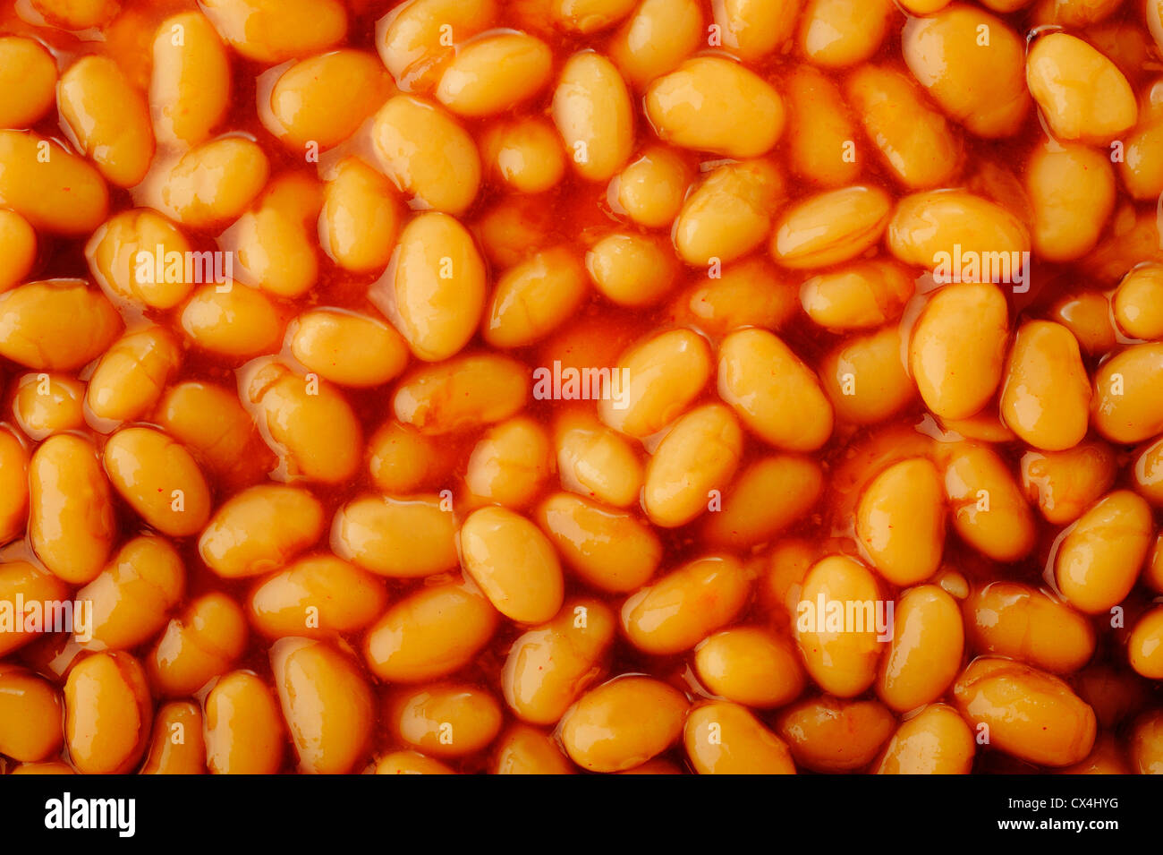 Gebackene Bohnen in Tomatensauce Stockfoto