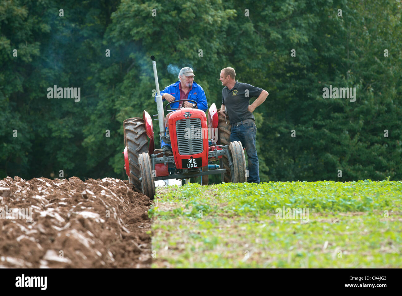 Ein Oldtimer Massey Ferguson-Traktor auf dem 65. Stoke Glückseligkeit und Bezirk Agrargesellschaft jährliche Pflügen Spiel Stockfoto