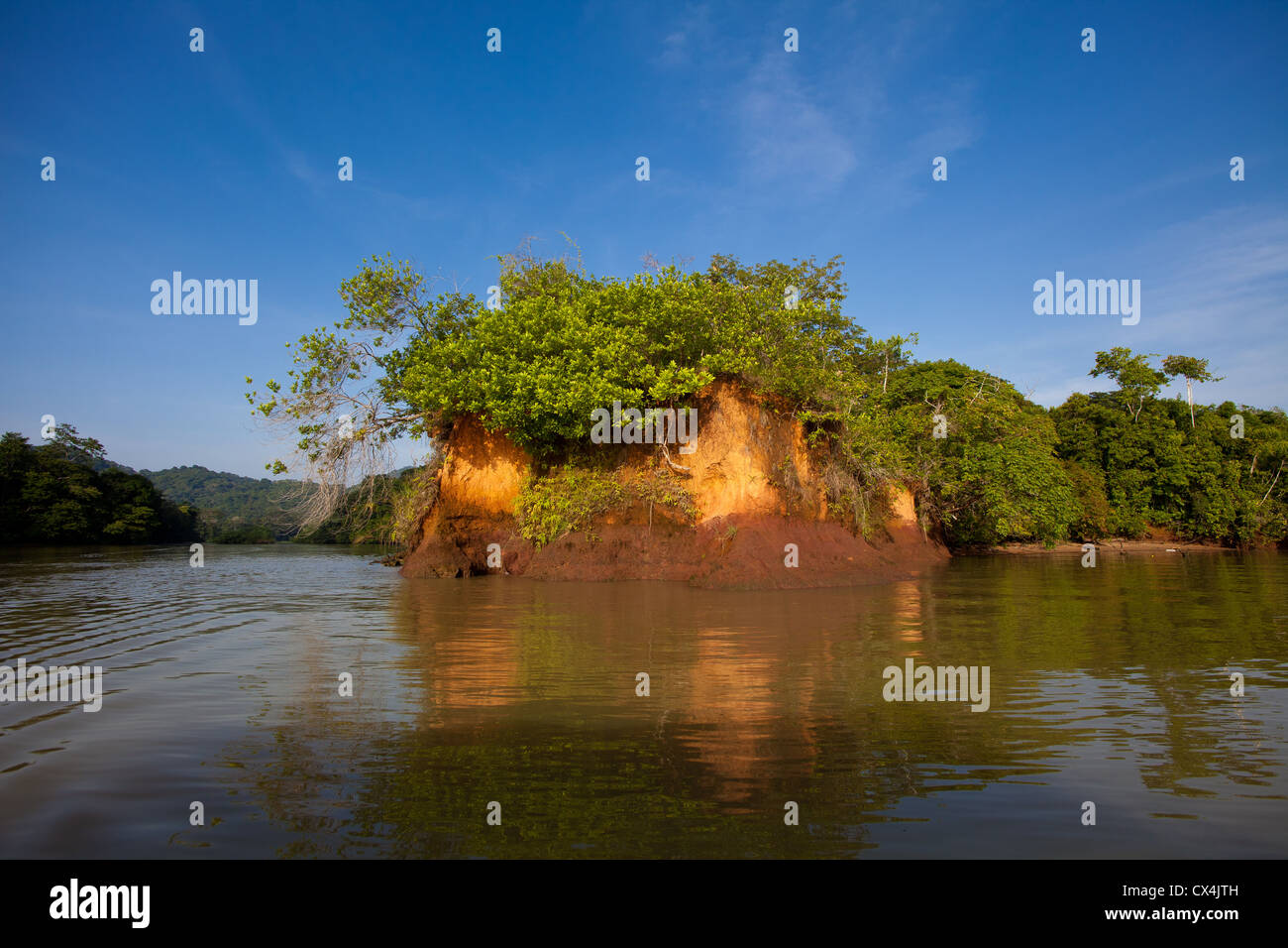 Erodierten Boden am Seeufer des Lago Gatun (Gatun See), Provinz Panama, Republik von Panama. Stockfoto
