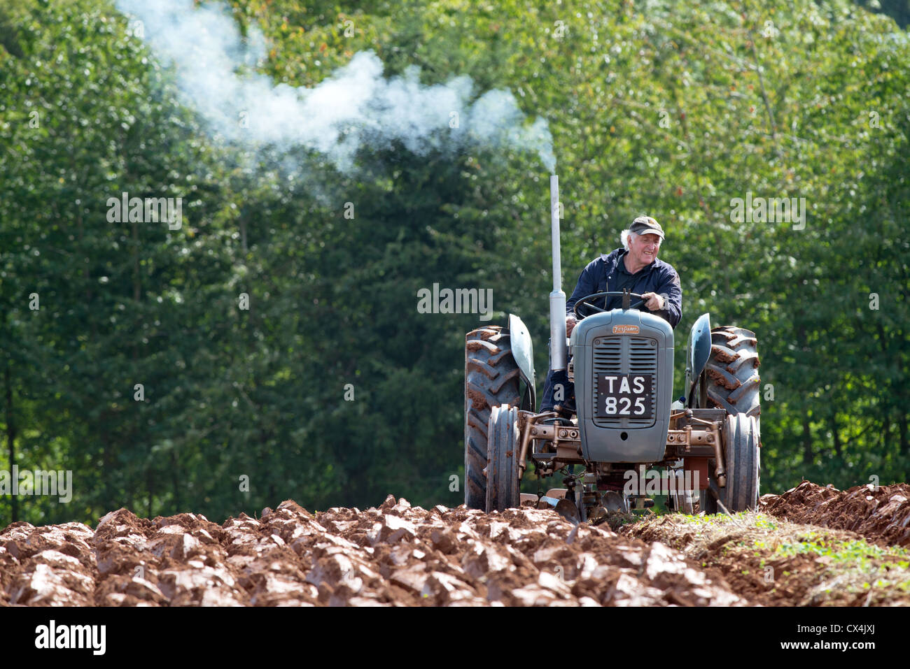 Ein Oldtimer Massey Ferguson-Traktor auf dem 65. Stoke Glückseligkeit und Bezirk Agrargesellschaft jährliche Pflügen Spiel Stockfoto