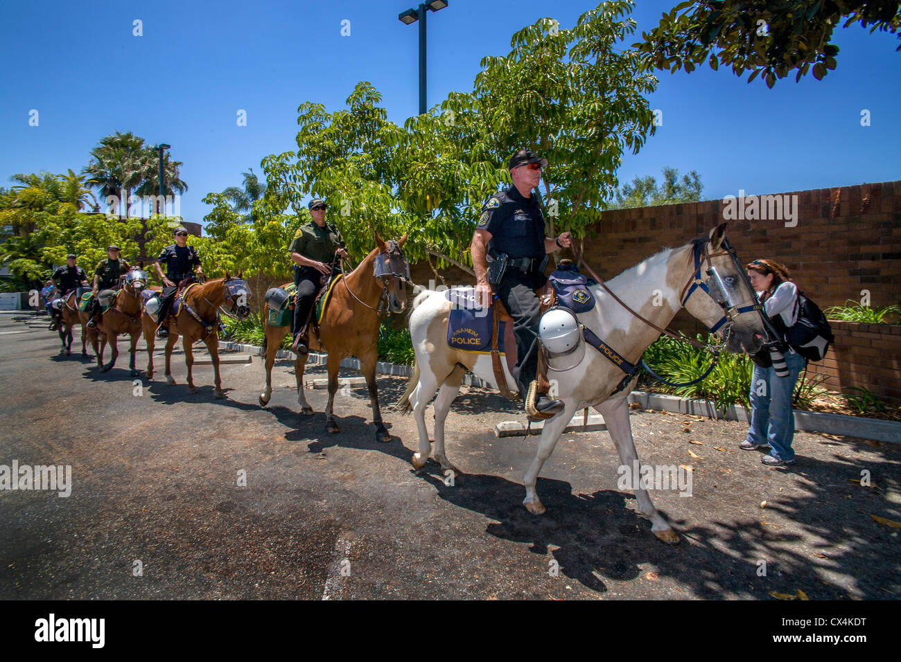 Berittene Polizei Offiziere kommen zu einem Protest in Anaheim, CA, Polizeipräsidium, den letzten protestieren Polizei Shootings von Hispanics. Stockfoto