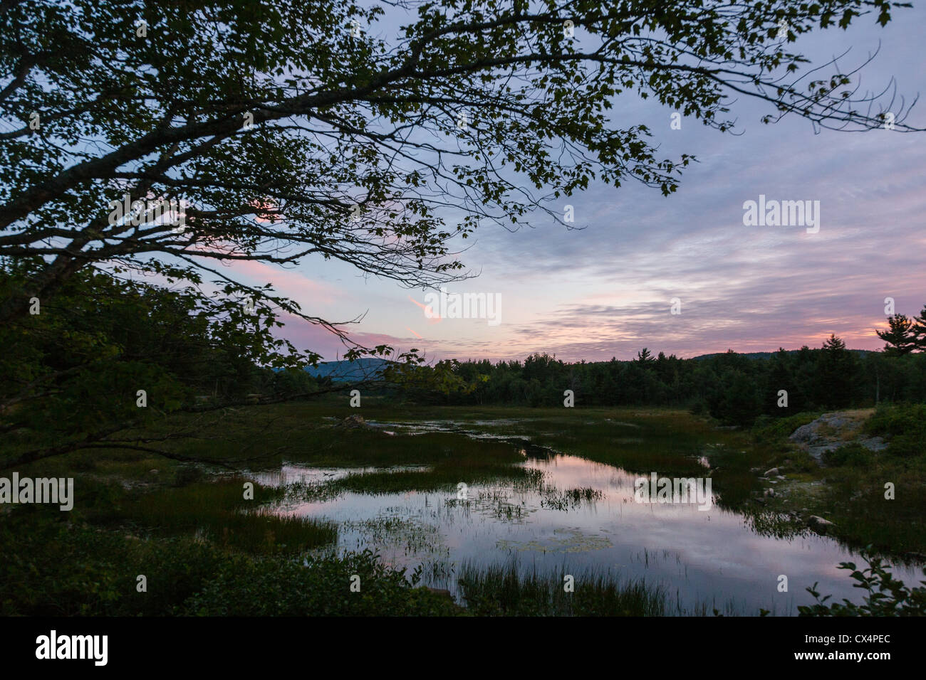 Farbenprächtigen Sonnenuntergang im Acadia National Park in der Nähe von Bar Harbor, Maine, USA Stockfoto