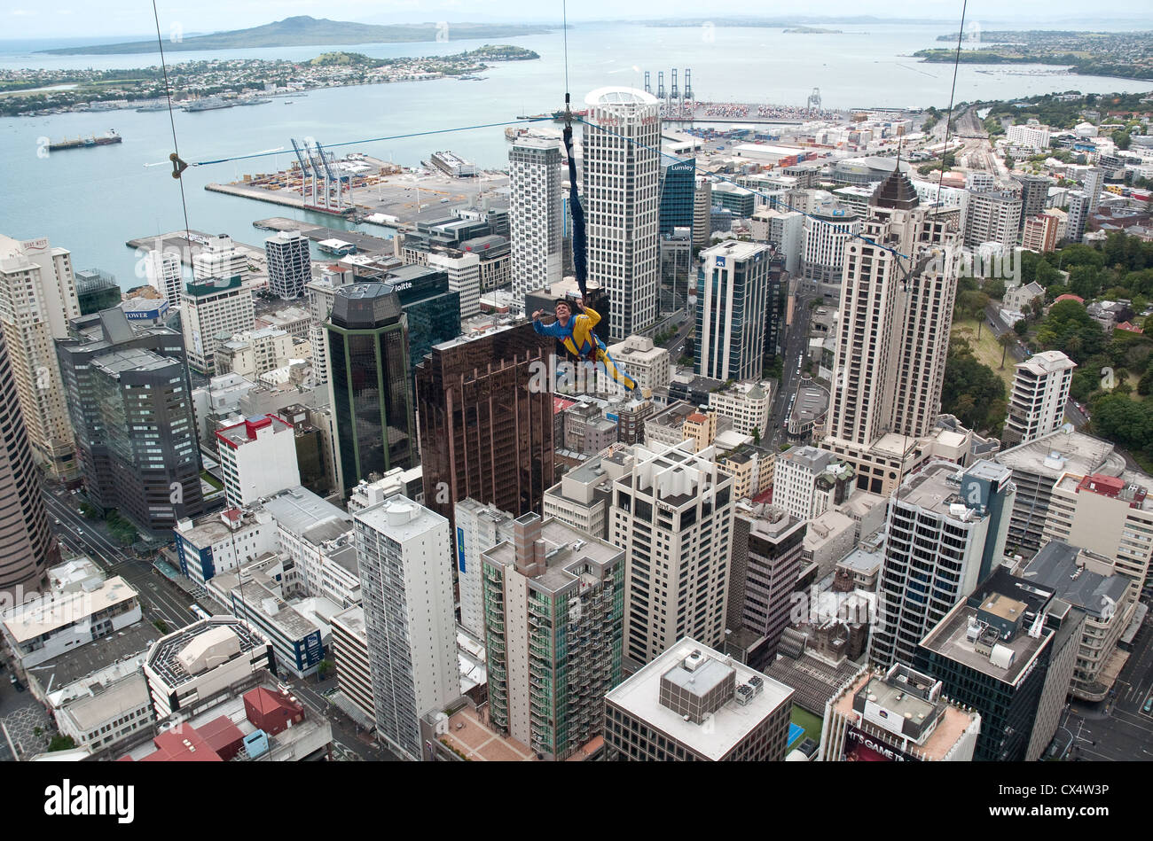Ein Besucher-Bungee Sprünge aus dem Skytower / Sky Tower City Centre Wahrzeichen in Auckland New Zealand. Stockfoto