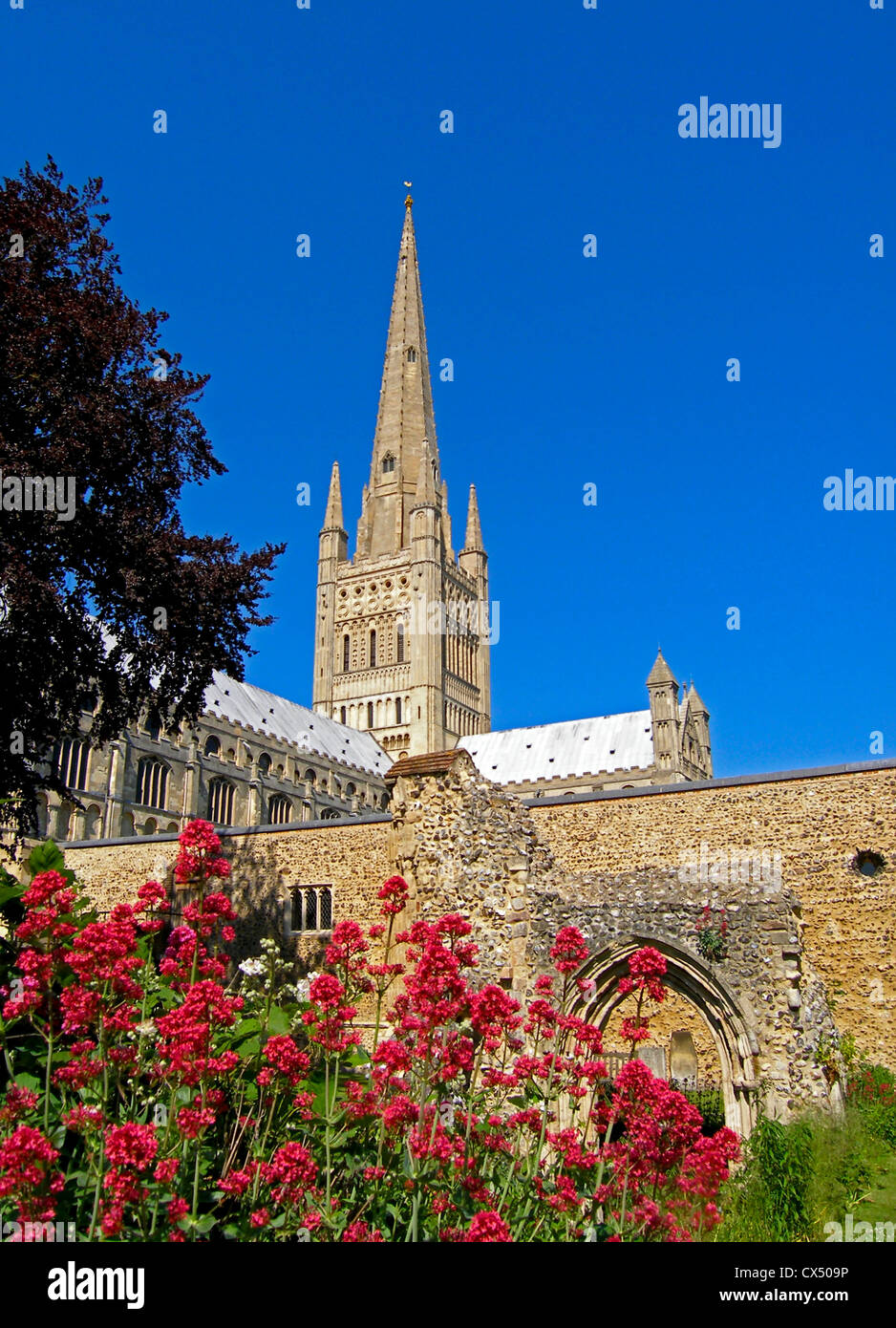 Die prächtige Kathedrale von Norwich bietet die zweite höchste Spitze in England. Stockfoto