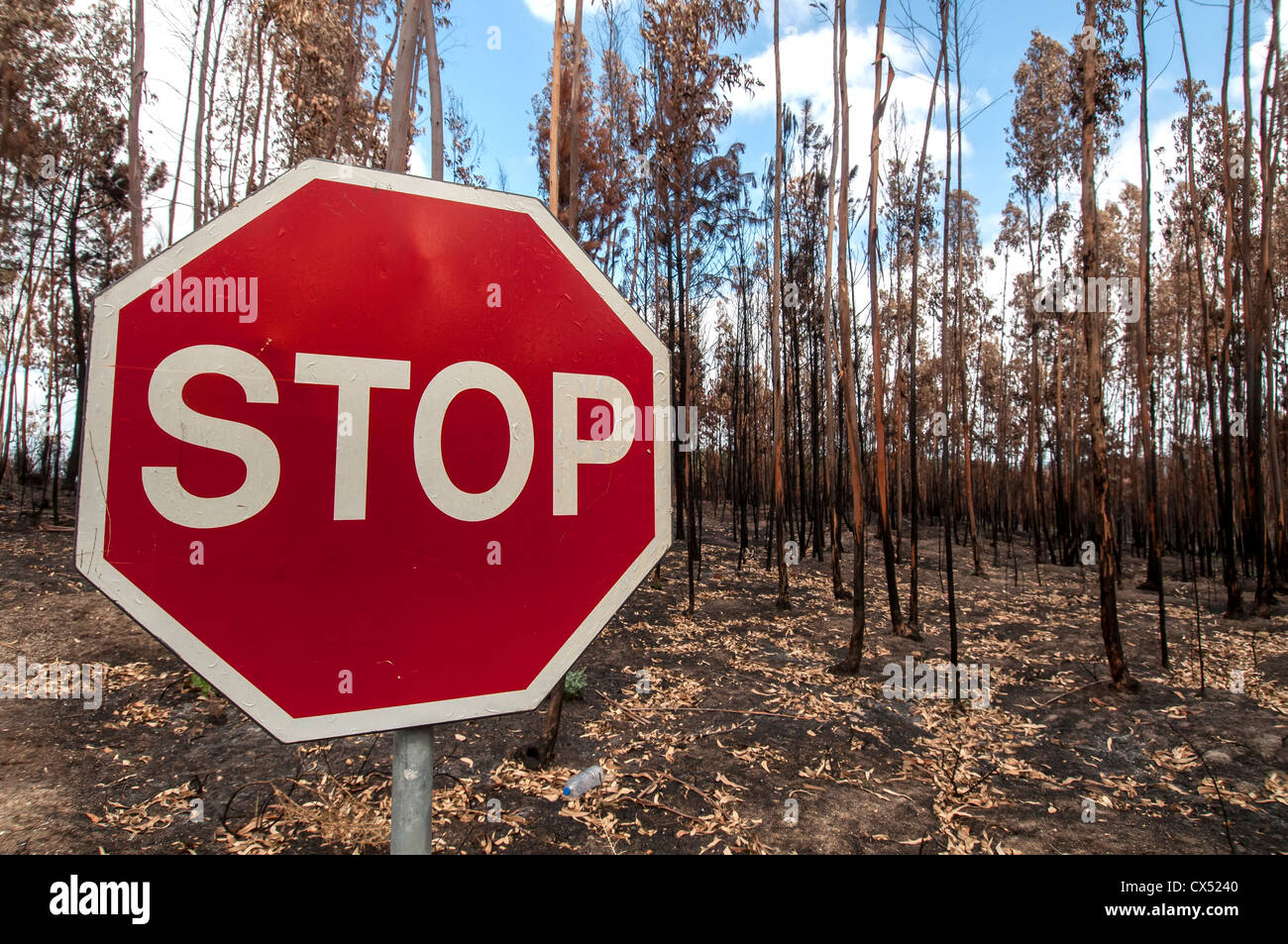 Stop-Schild in einem verbrannten Wald nach einem großen Brand in Portugal Stockfoto