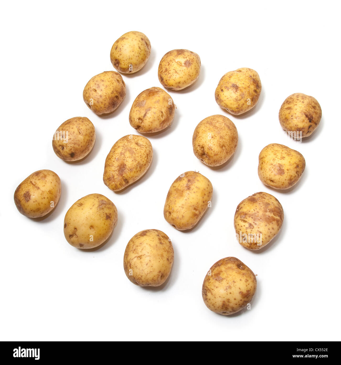 Weiße Kartoffeln isoliert auf einem weißen Studio-Hintergrund. Stockfoto