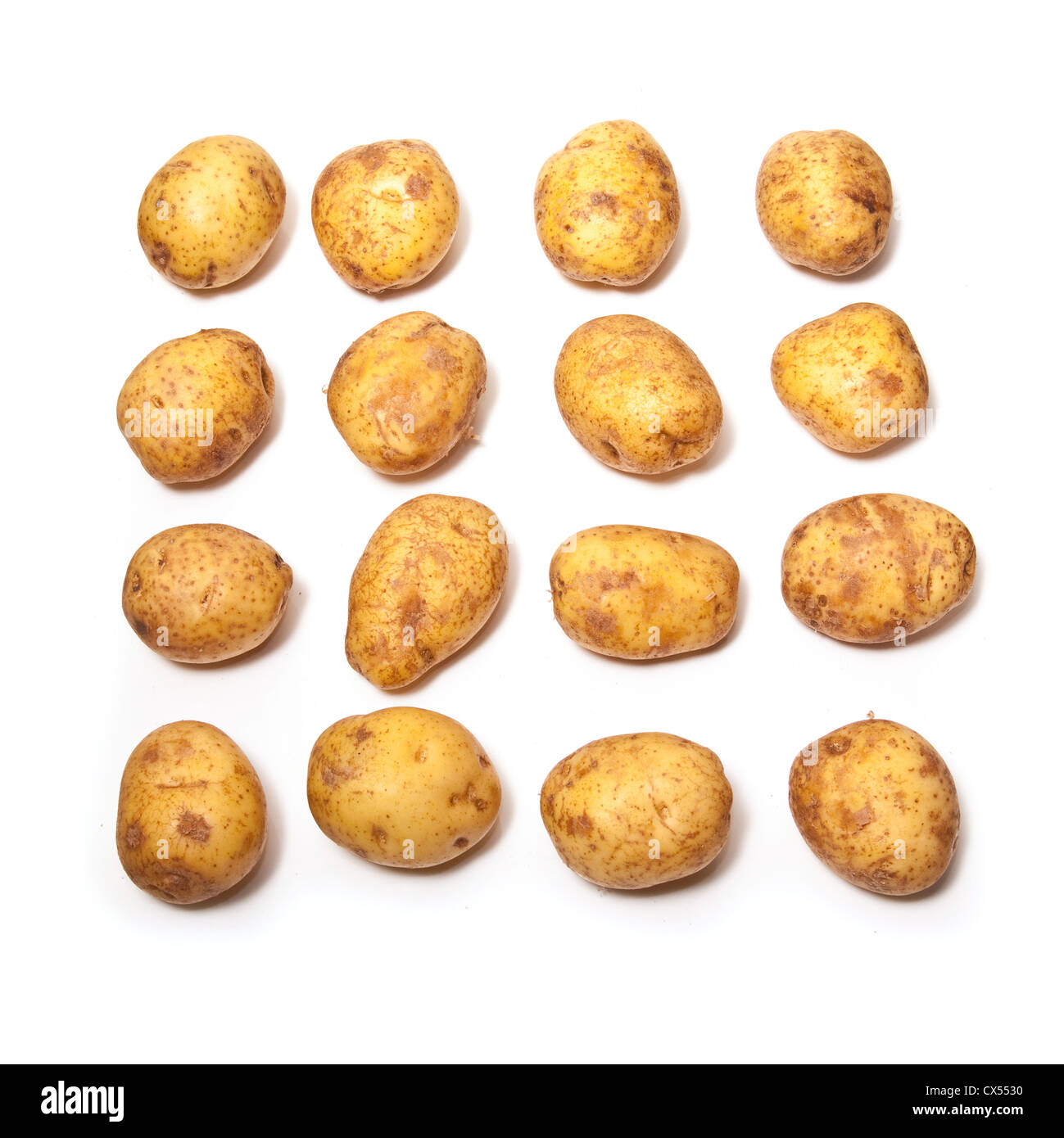 Weiße Kartoffeln isoliert auf einem weißen Studio-Hintergrund. Stockfoto