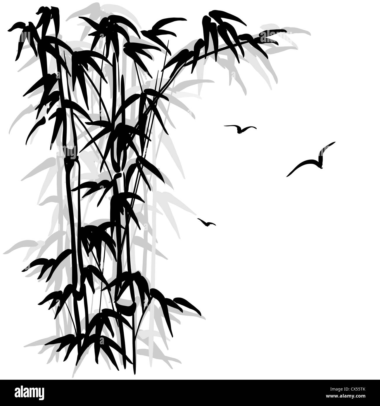 Schwarze Silhouette von einem Bambus und Vögel auf weißem Hintergrund Stockfoto