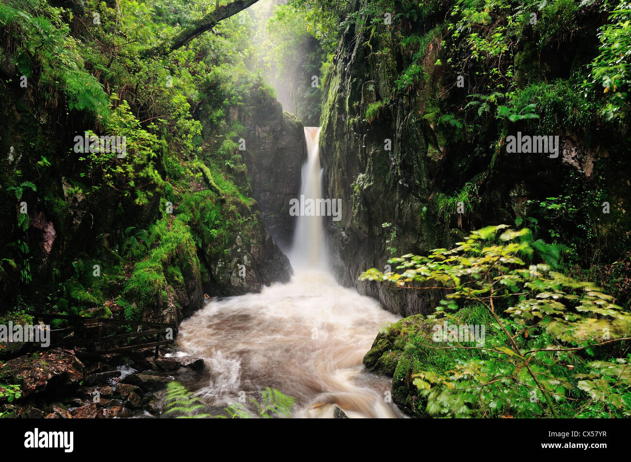 Die abgelegene Schlucht von Stanley Ghyll und Stanley Ghyll Force Wasserfall Eskdale im englischen Lake District Stockfoto