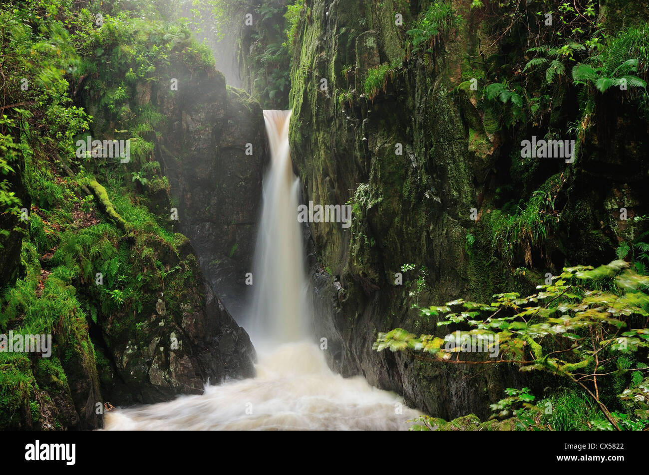 Stanley Ghyll Kraft, Eskdale, einer der größten Wasserfälle im englischen Lake District Stockfoto