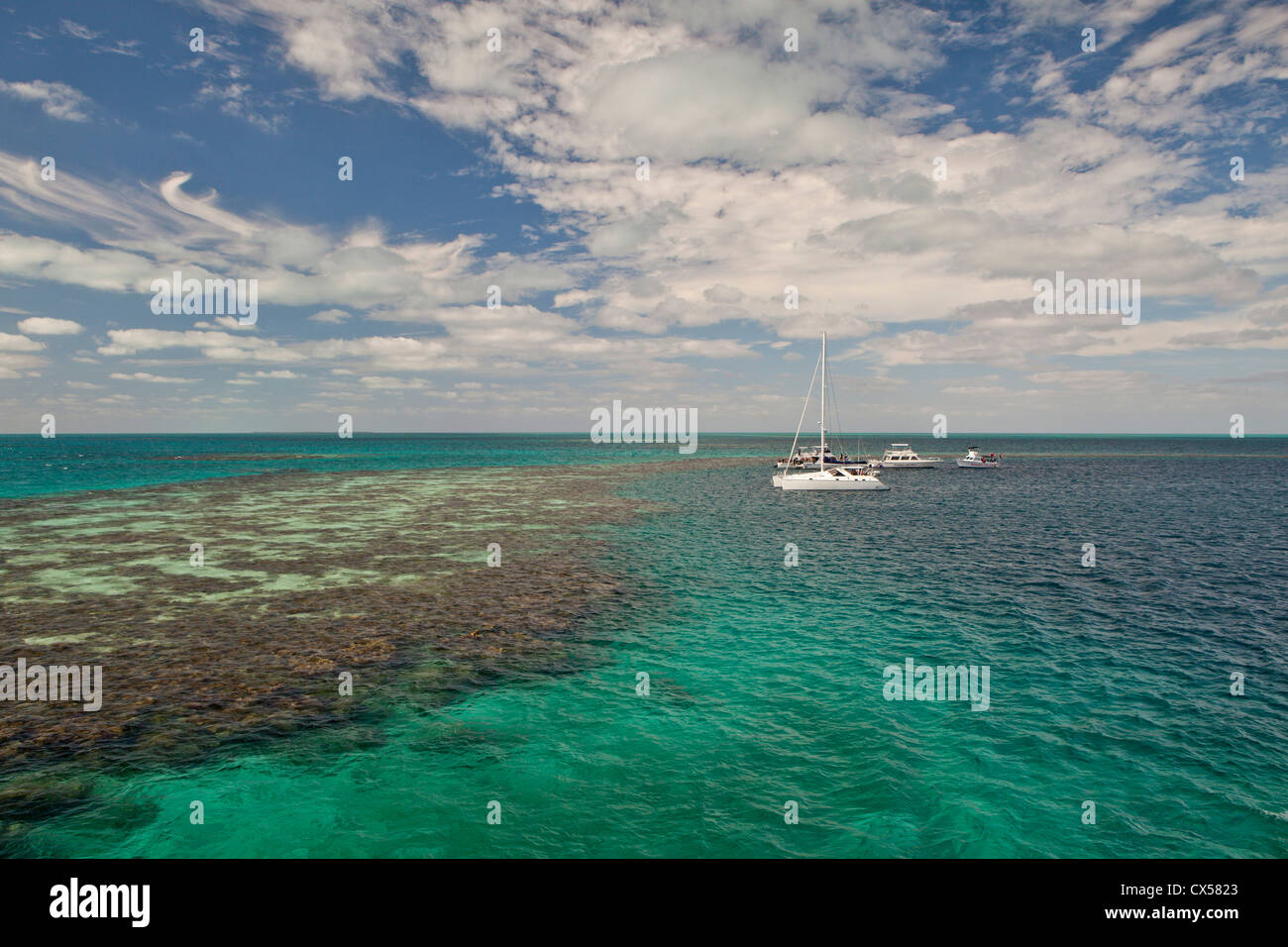 Eingang zum berühmten Blue Hole.  UNESCO-Welterbe. Mittelamerika, Belize. Stockfoto