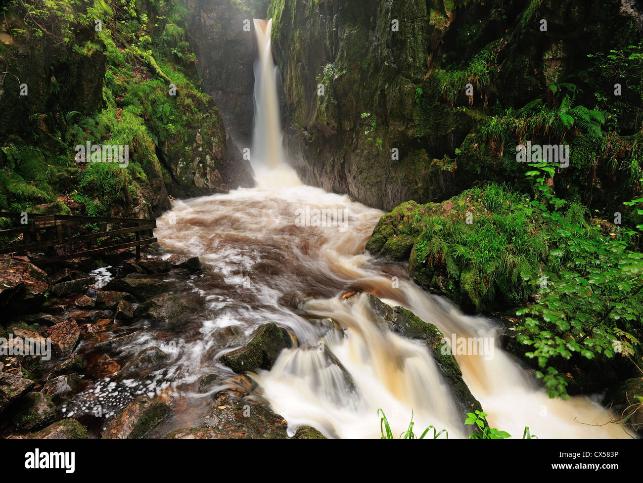 Stanley Ghyll Schlucht und Stanley Ghyll Force Wasserfall Eskdale im englischen Lake District. Stockfoto