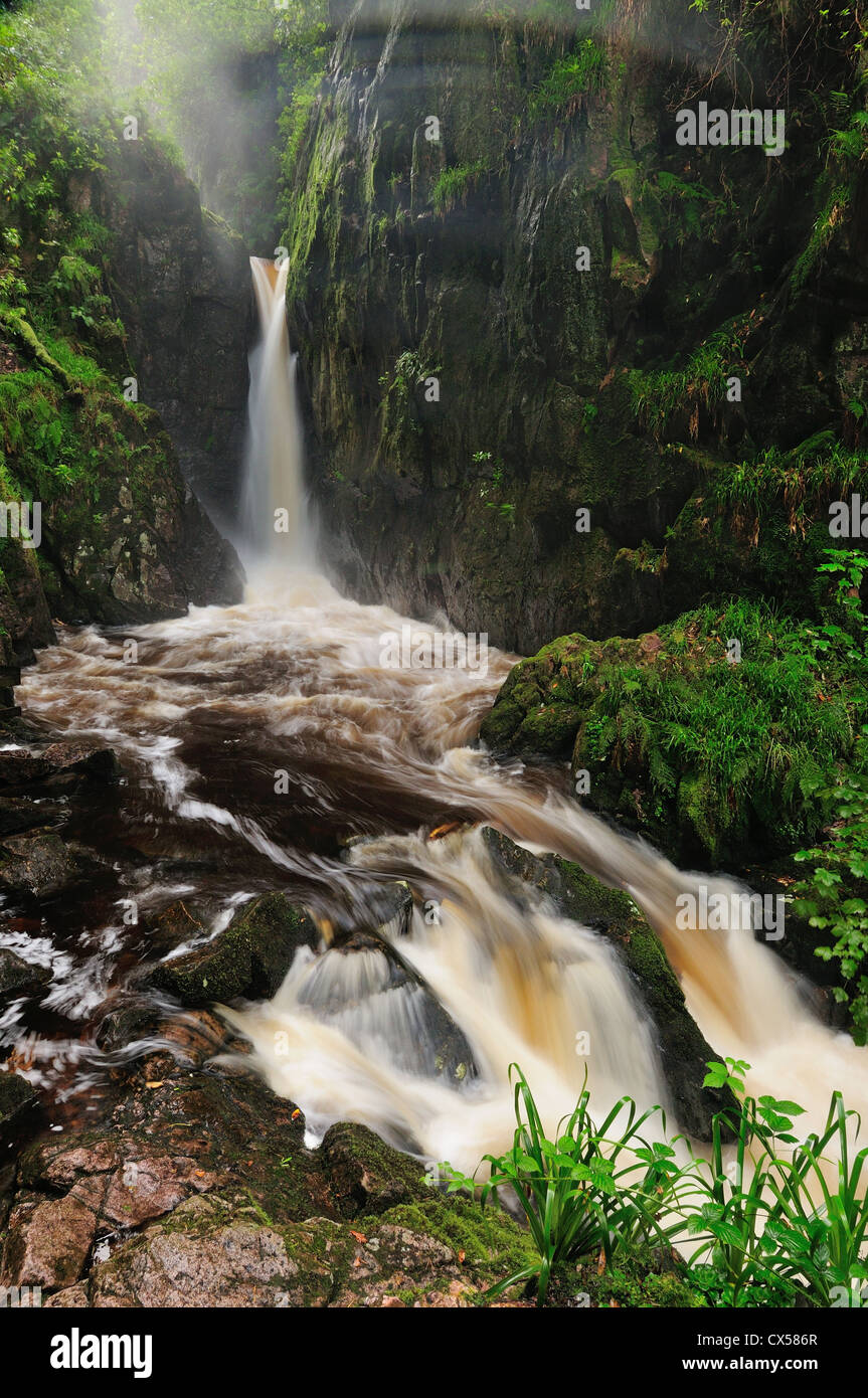 Stanley Ghyll Schlucht und Wasserfall in Eskdale im englischen Lake District Stockfoto